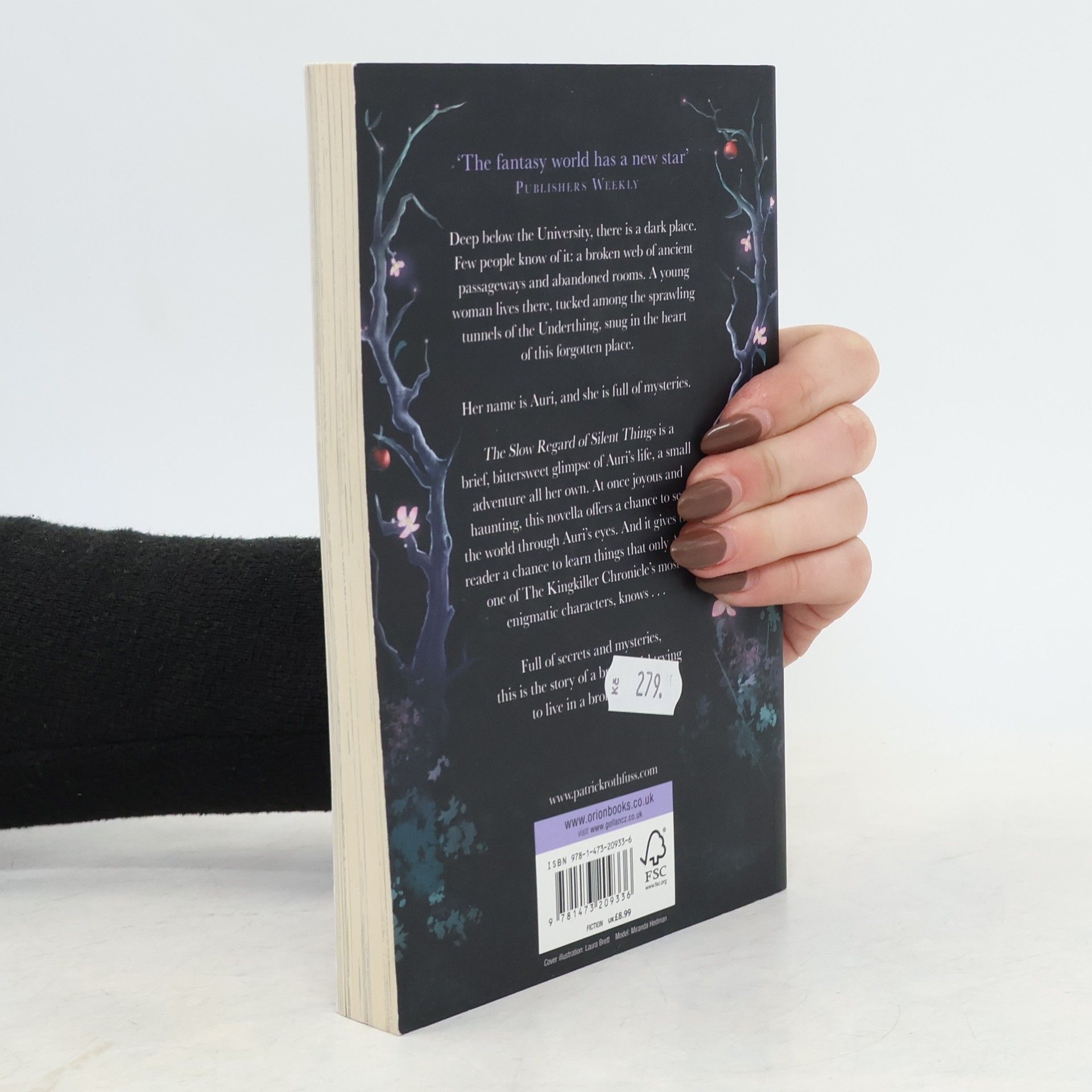 Patrick Rothfuss The Slow Regard of Silent Things