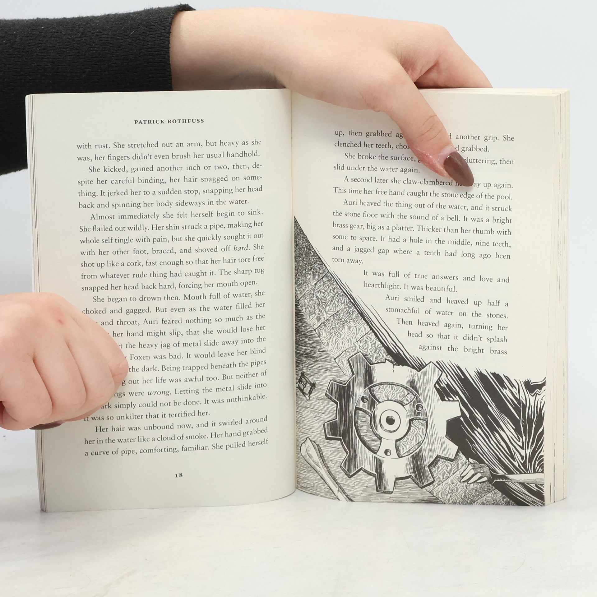 Patrick Rothfuss The Slow Regard of Silent Things