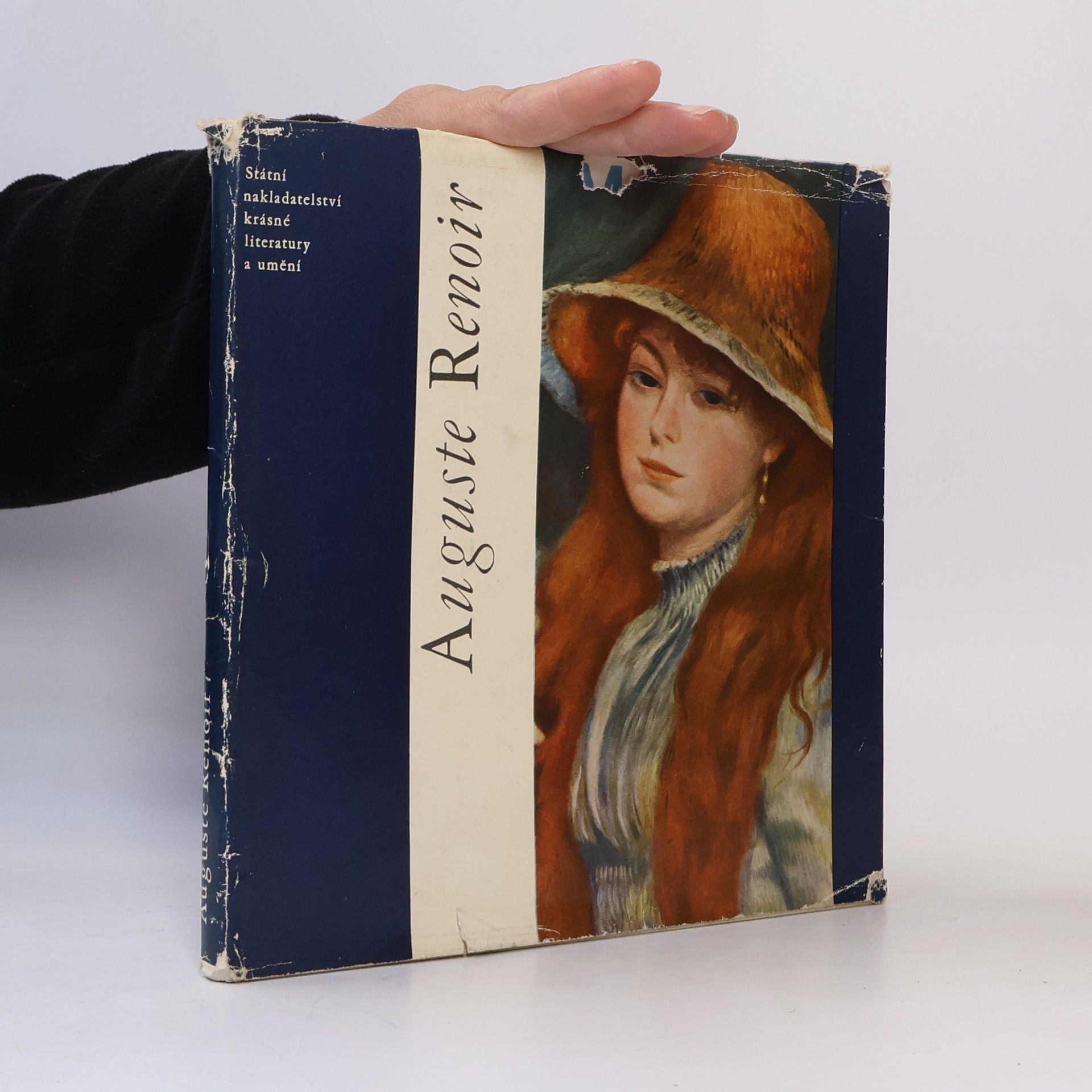 Jaromír Neumann Auguste Renoir