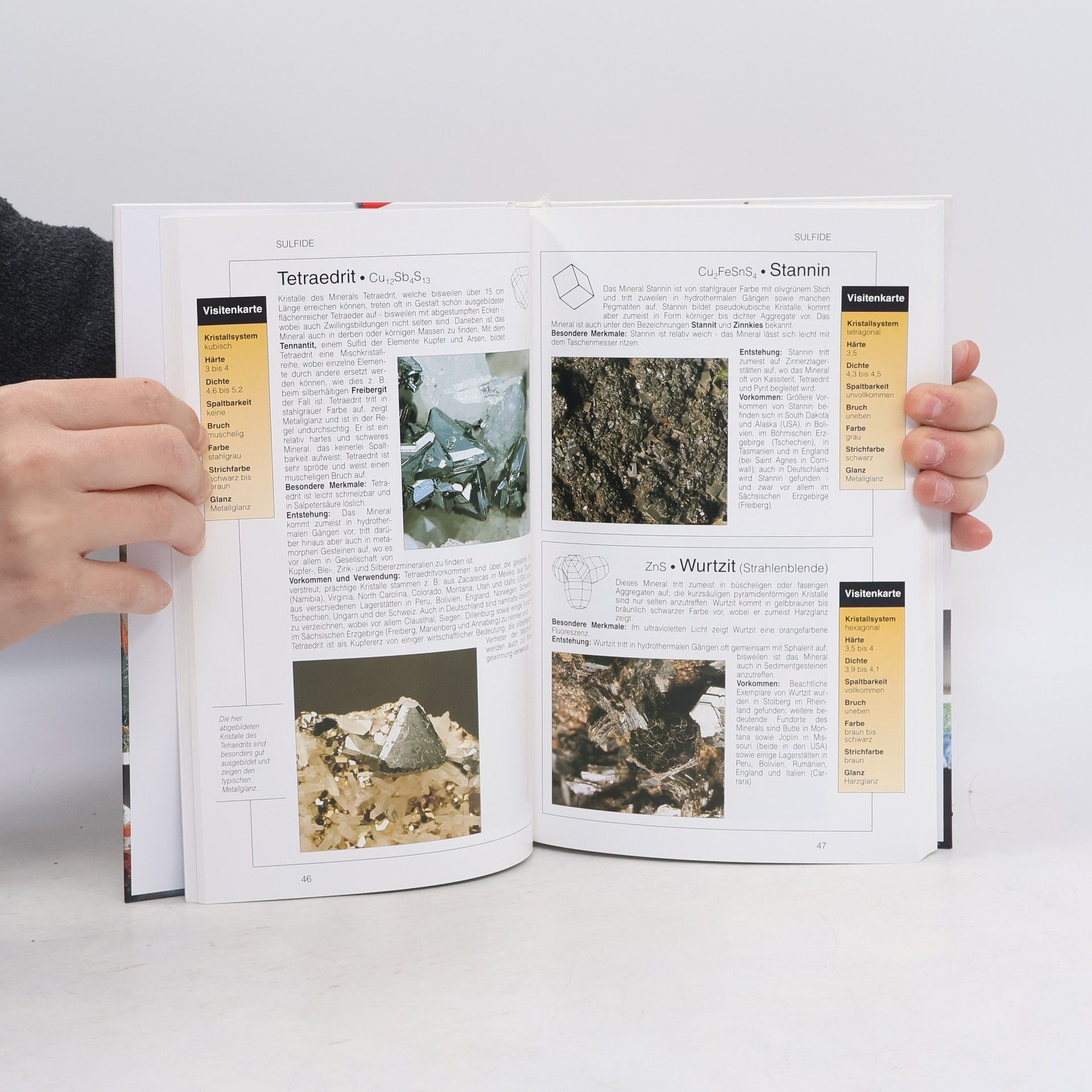 Auteurscollectief Mineralien und Edelsteine: Ein umfassender Ratgeber zum Entdecken, Bestimmen und Sammeln von Mineralien und Edelsteinen