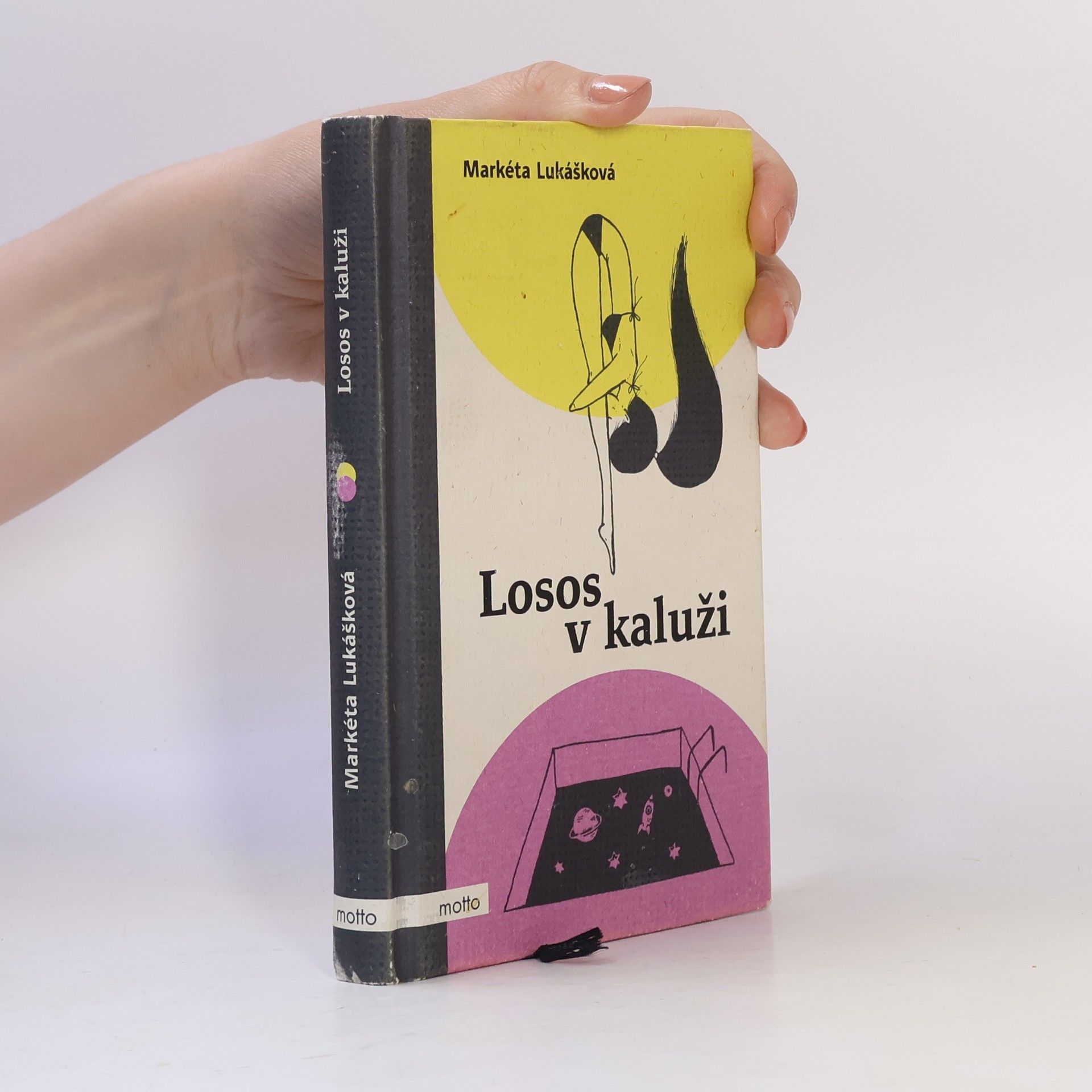 Markéta Lukášková Losos v kaluži