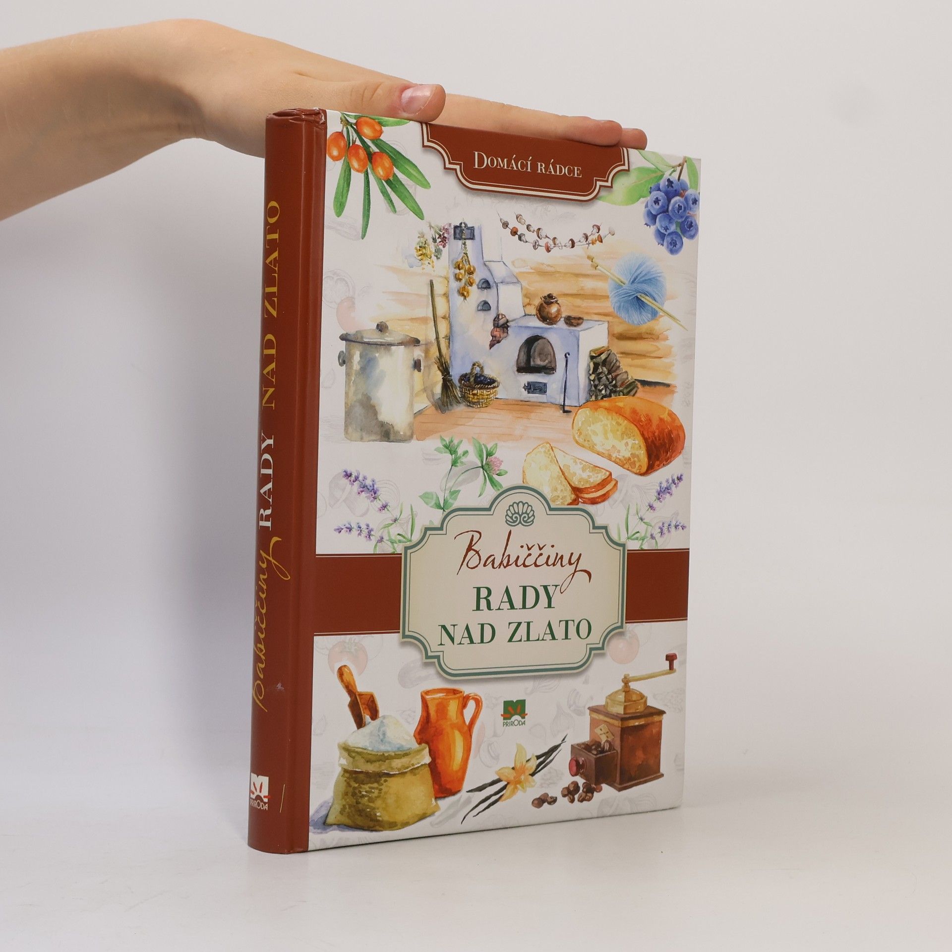 Autorenkollektiv Babiččiny rady nad zlato