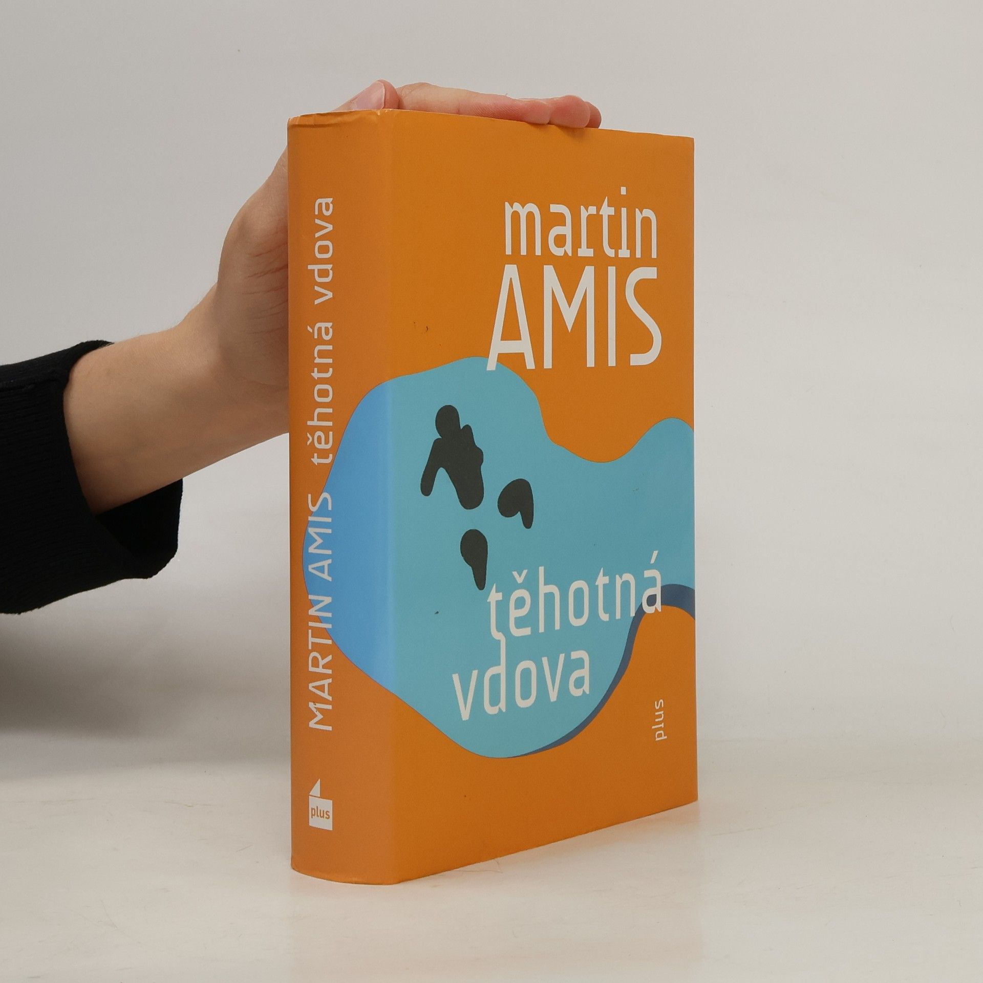 Martin Amis Těhotná vdova. Důvěrné dějiny