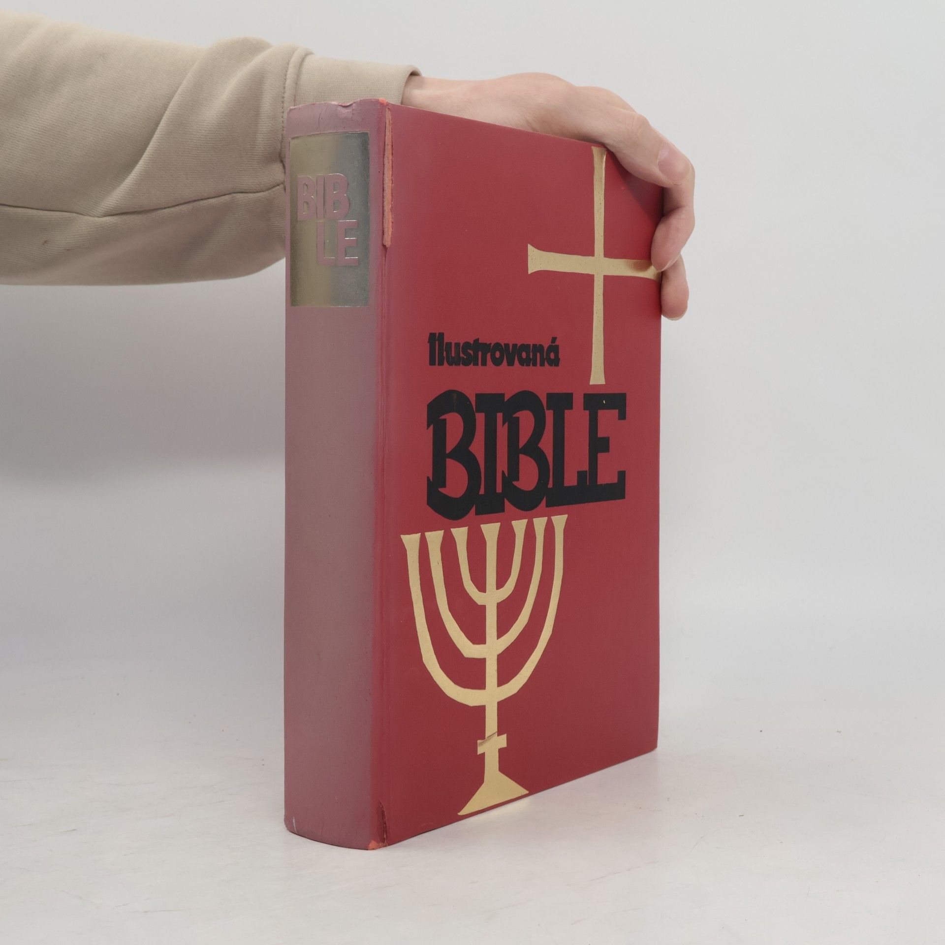 Collectif d'auteurs Ilustrovaná Bible