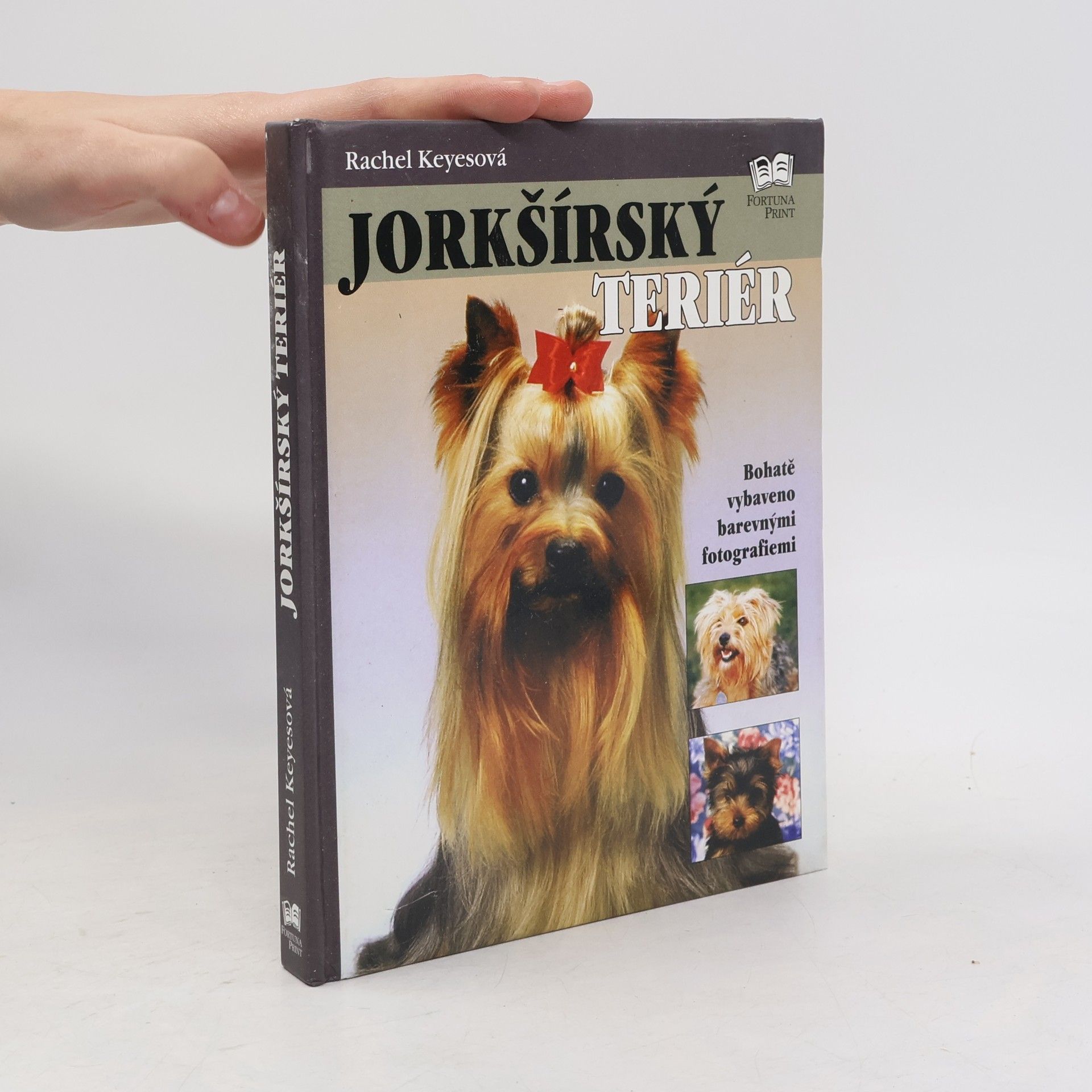 Rachel Keyes Jorkšírský teriér