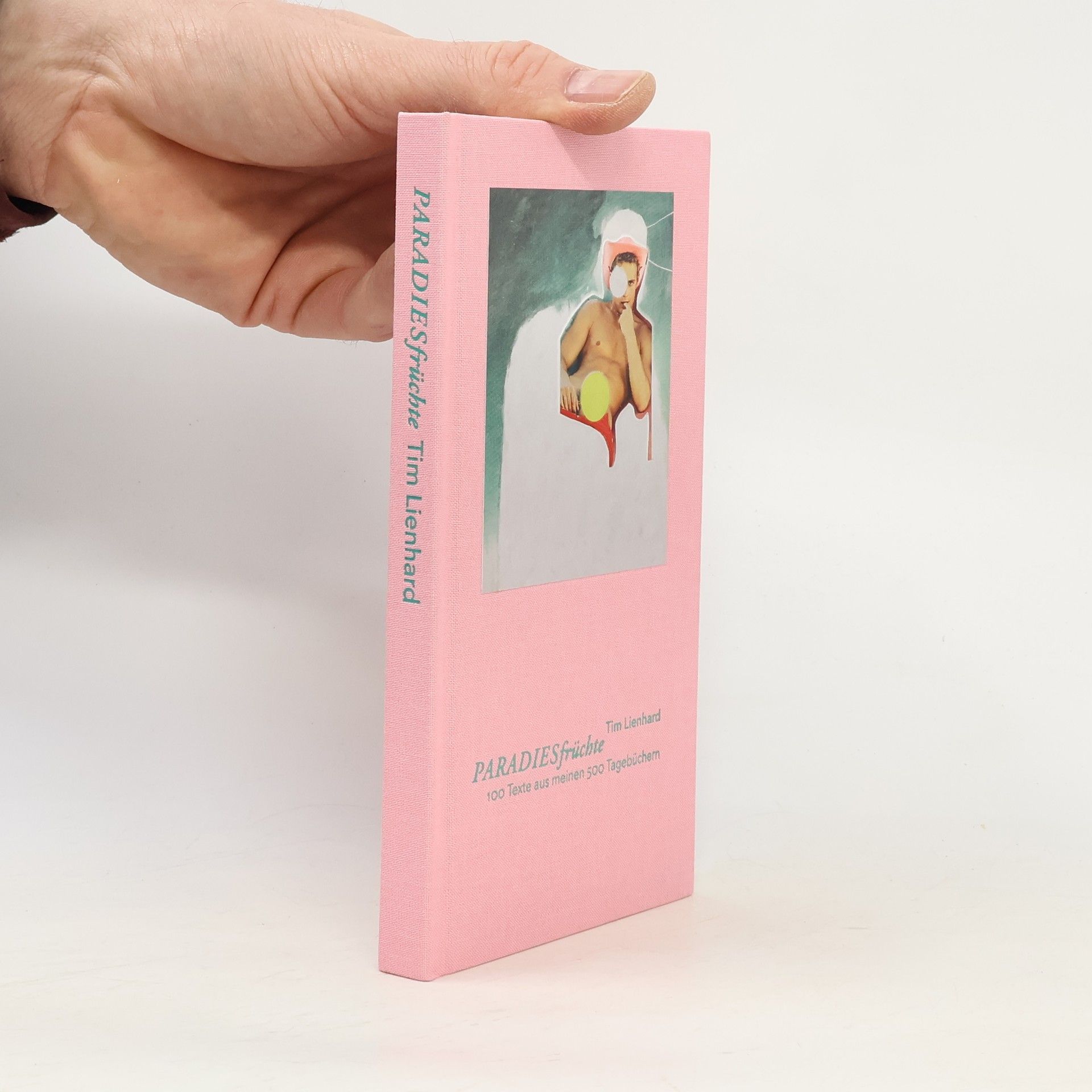 Tim Lienhard Paradiesfrüchte. 100 Texte aus meinen 500 Tagebüchern