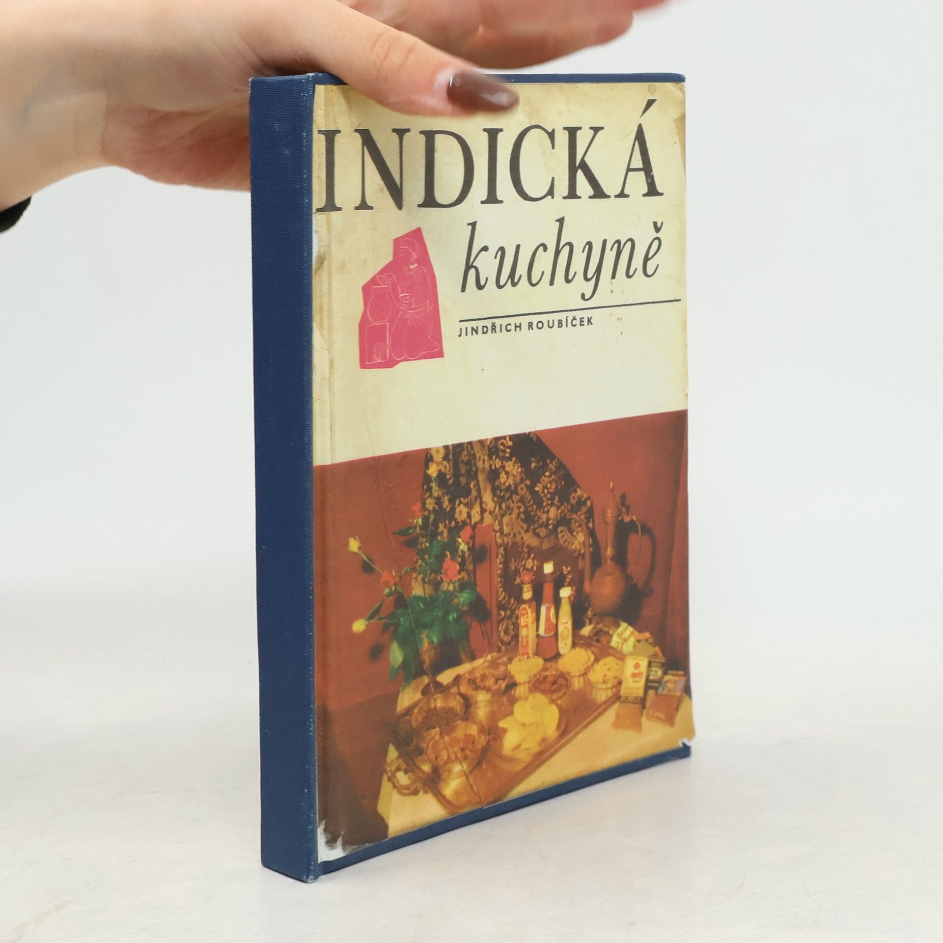 Jindřich Roubíček Indická kuchyně