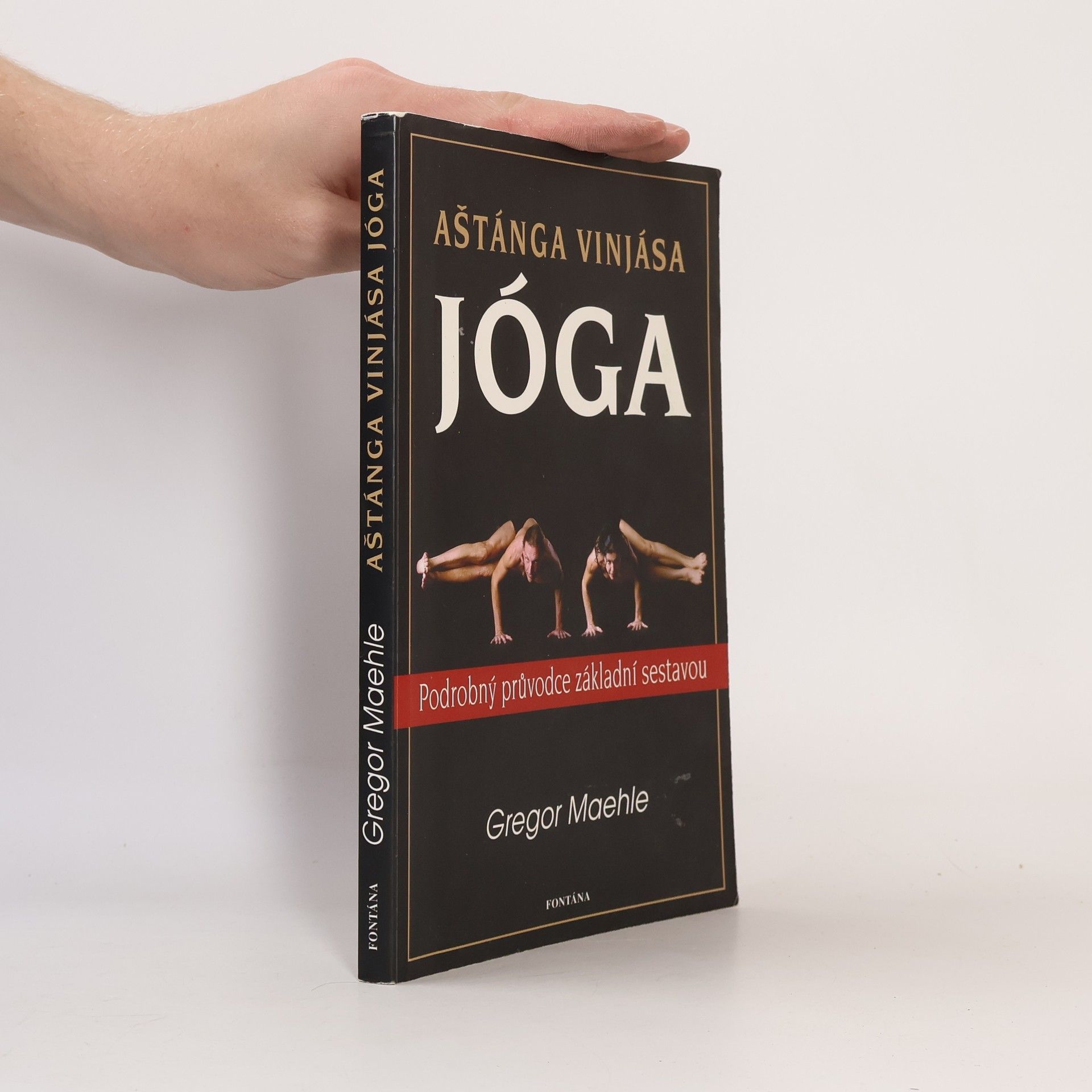 Gregor Maehle Aštánga vinjása jóga