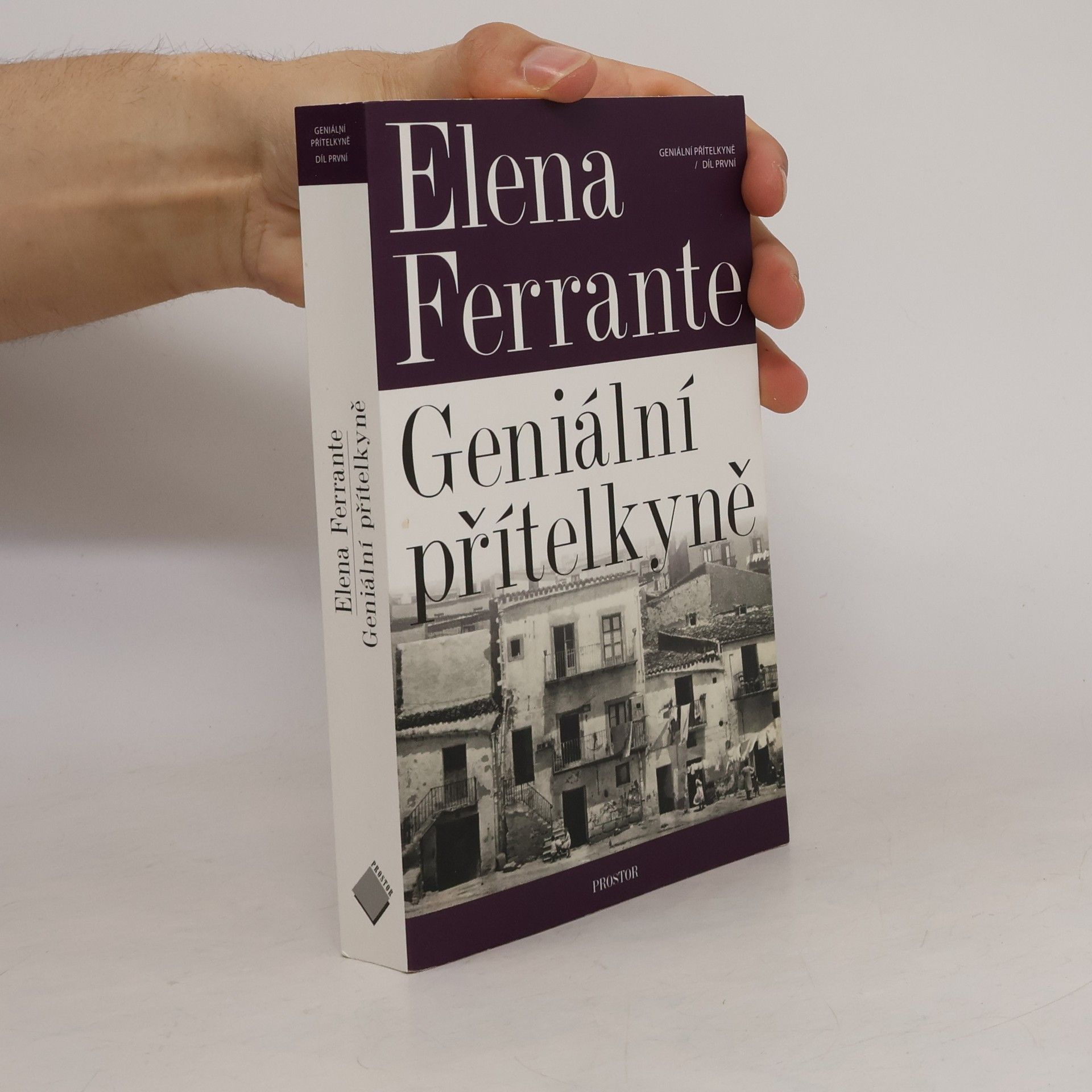 Elena Ferrante Geniální přítelkyně 1. Dětství a dospívání