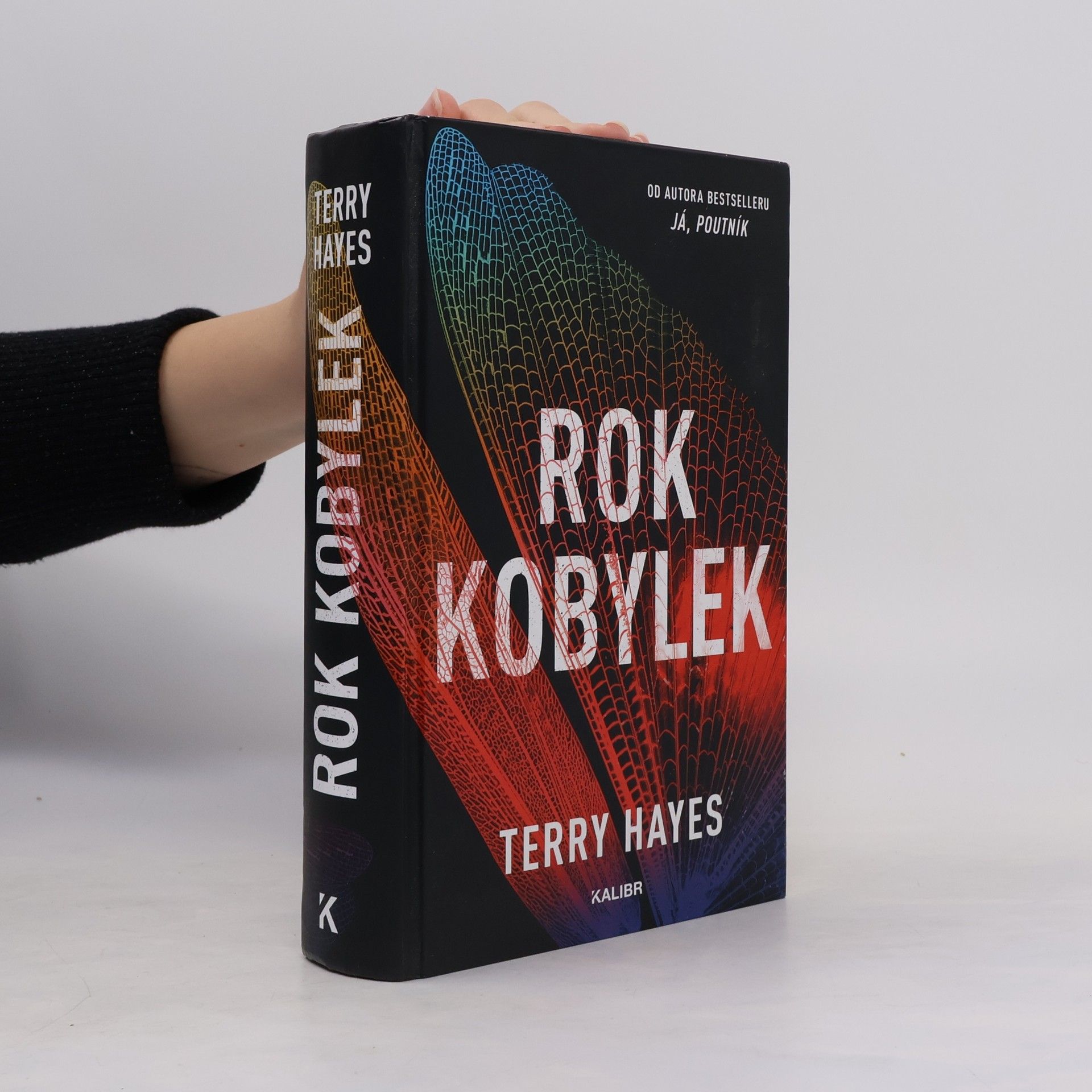 Terry Hayes Rok kobylek