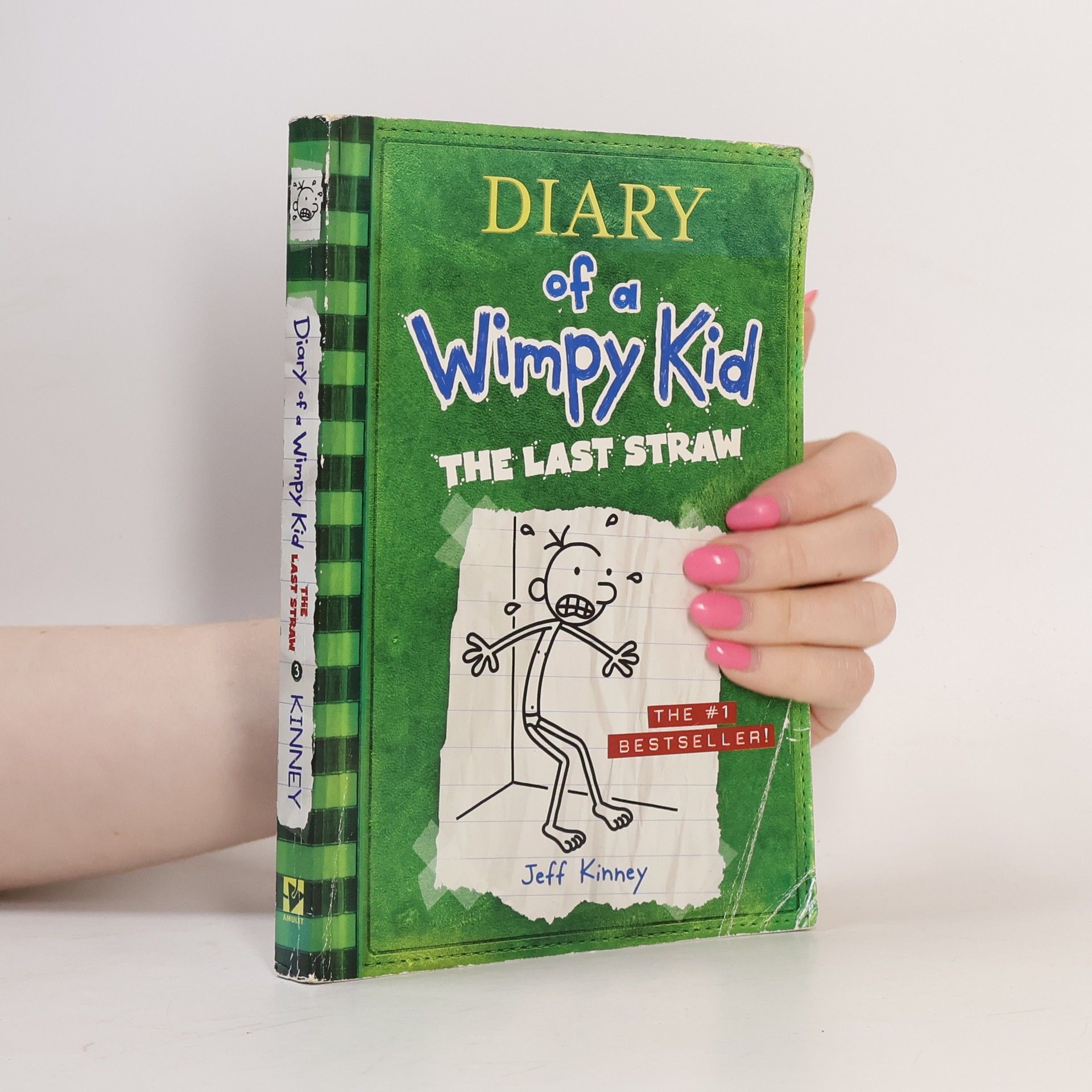Jeff Kinney Diary of a Wimpy Kid - 3: The Last Straw