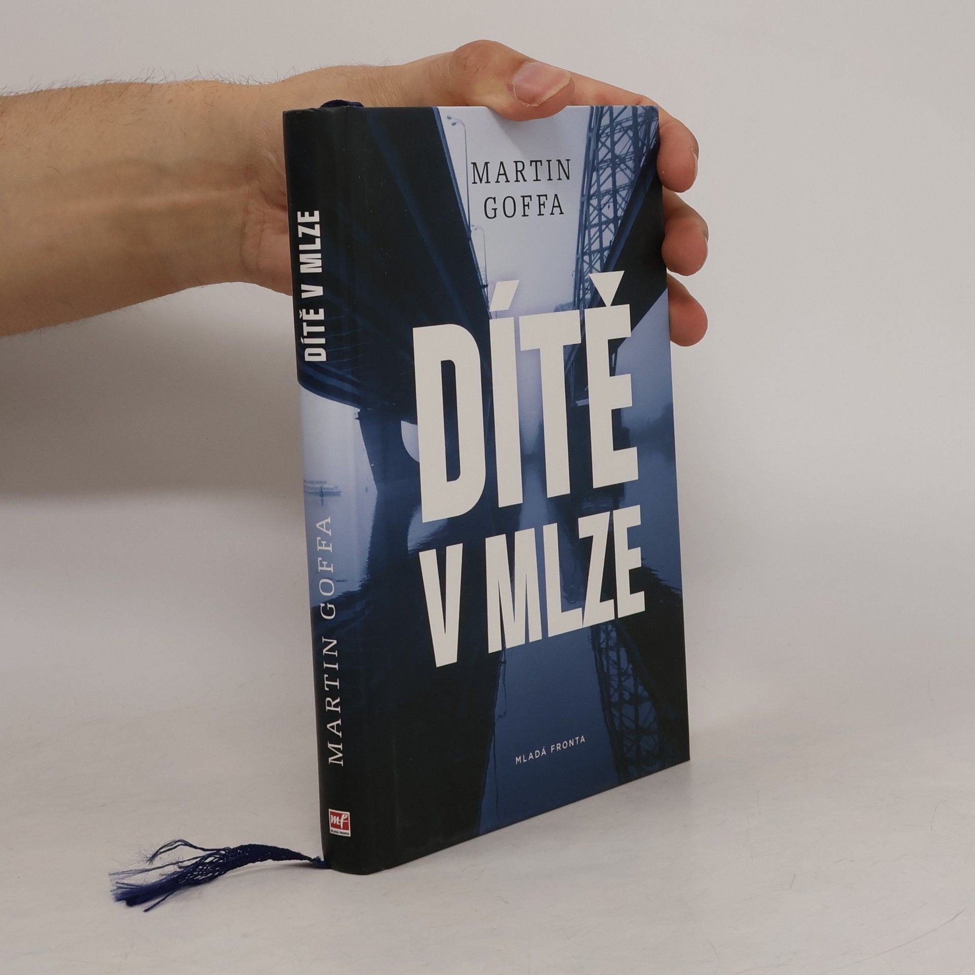 Martin Goffa Dítě v mlze