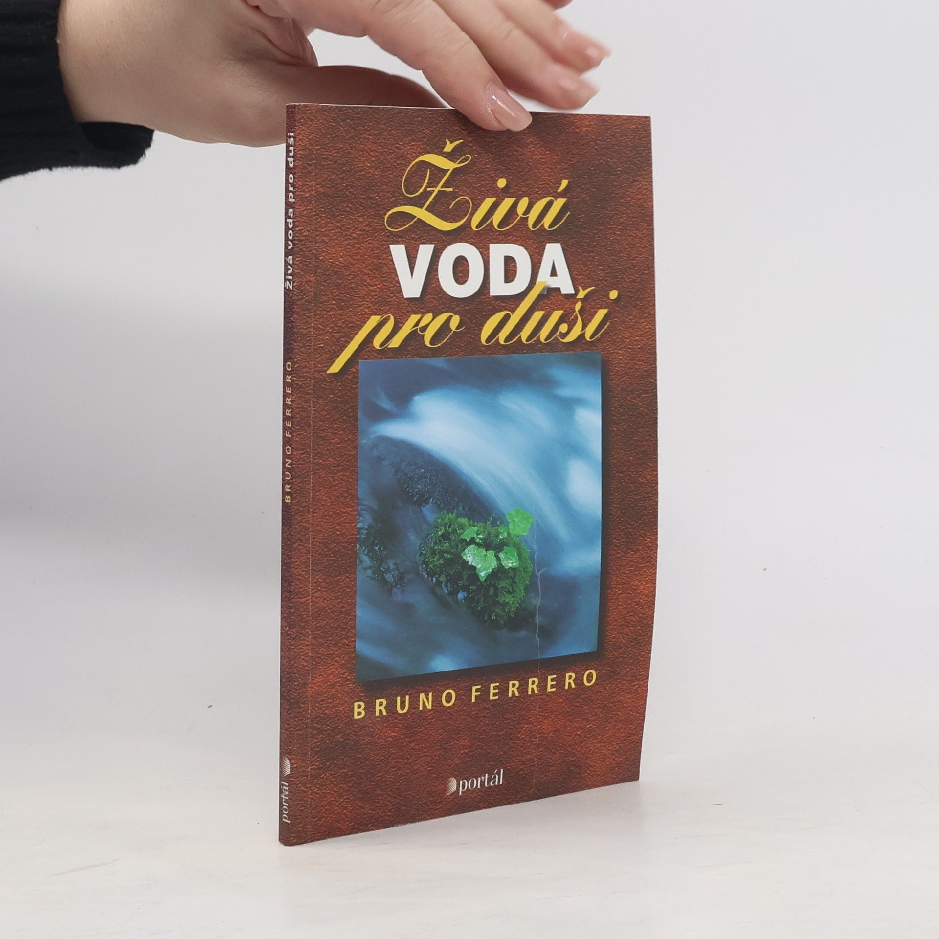 Bruno Ferrero Živá voda pro duši