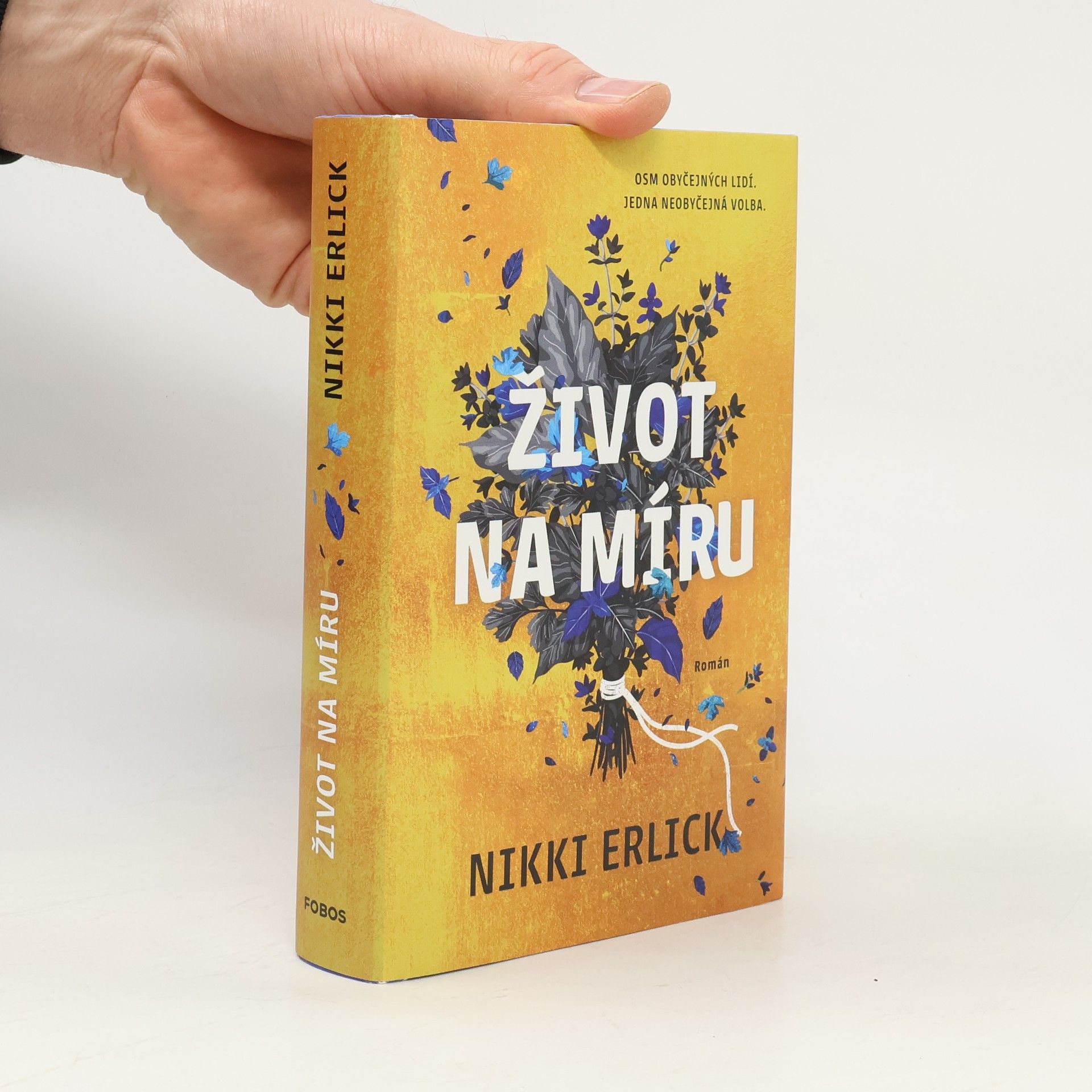 Nikki Erlick Život na míru