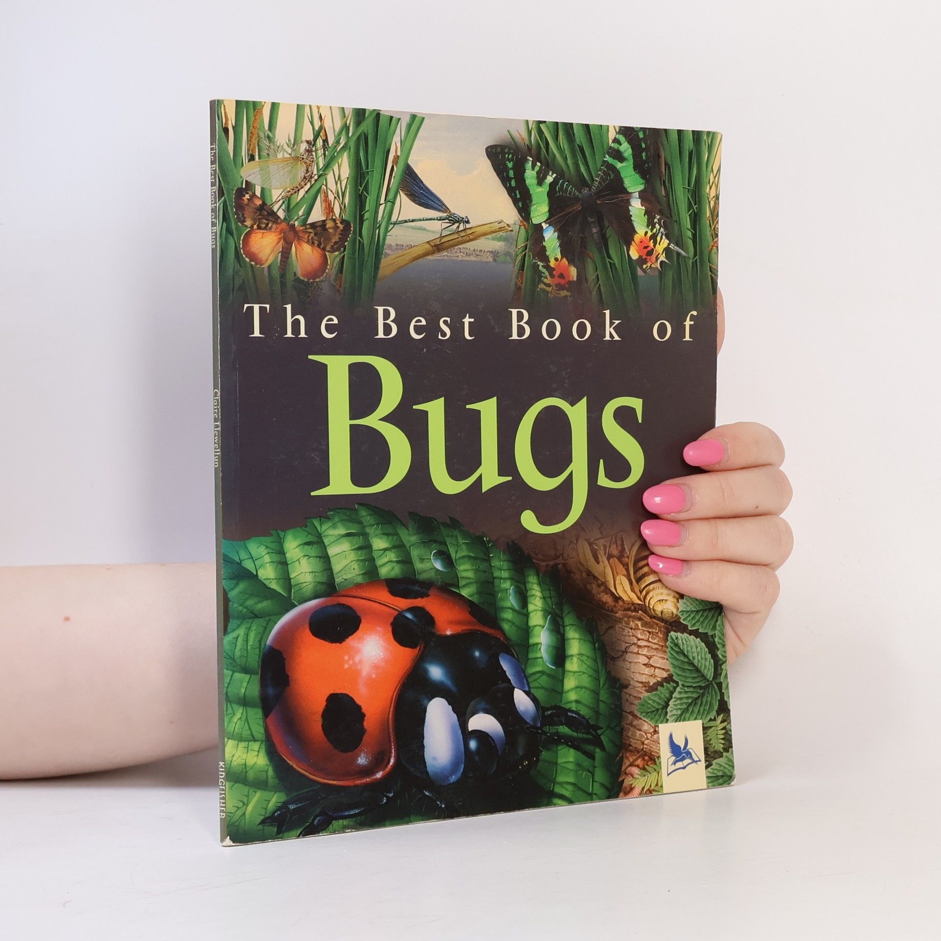 Claire Llewellyn My Best Book of Bugs