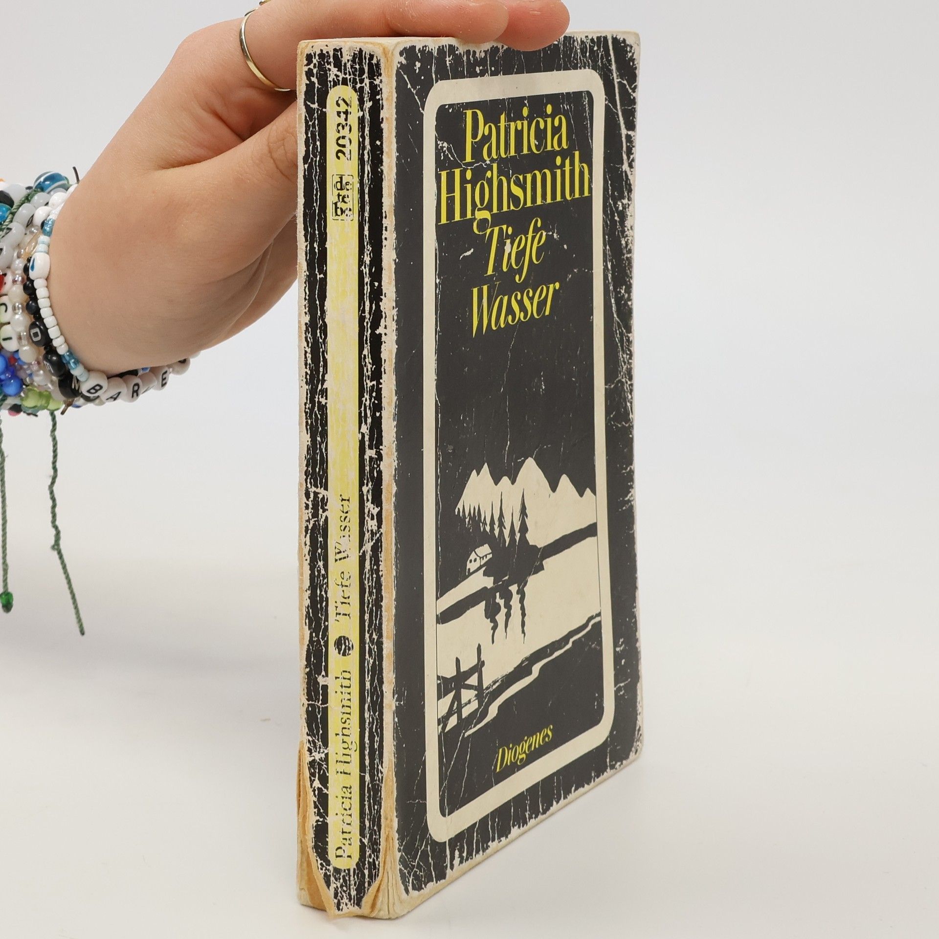 Patricia Highsmith Tiefe Wasser
