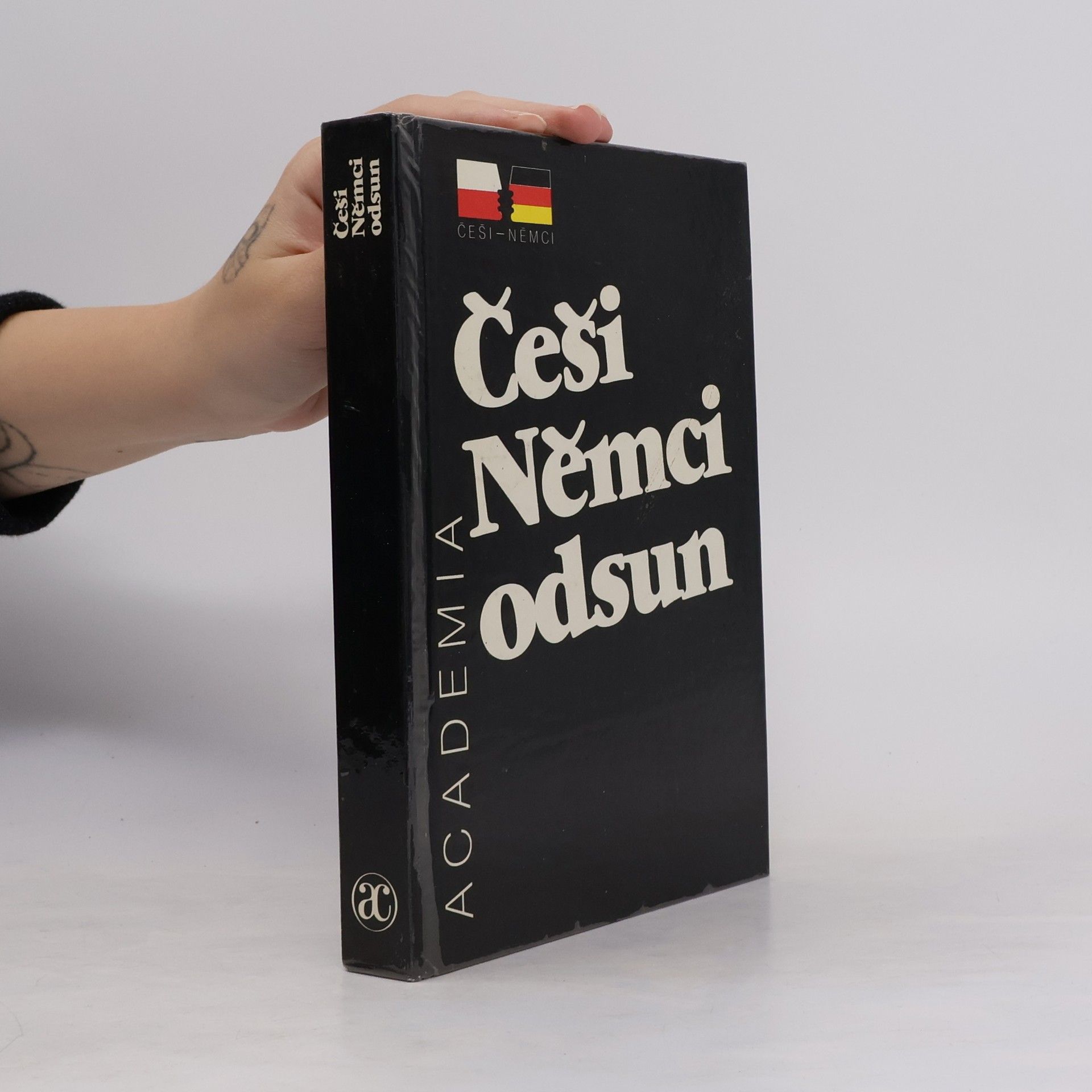 Kolektív autorov Češi, Němci, odsun