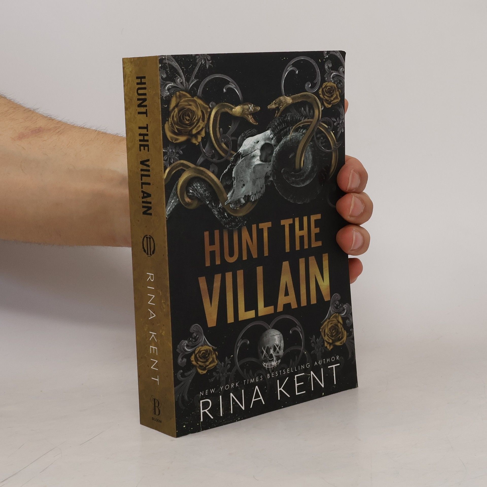 Rina Kent Hunt the Villain