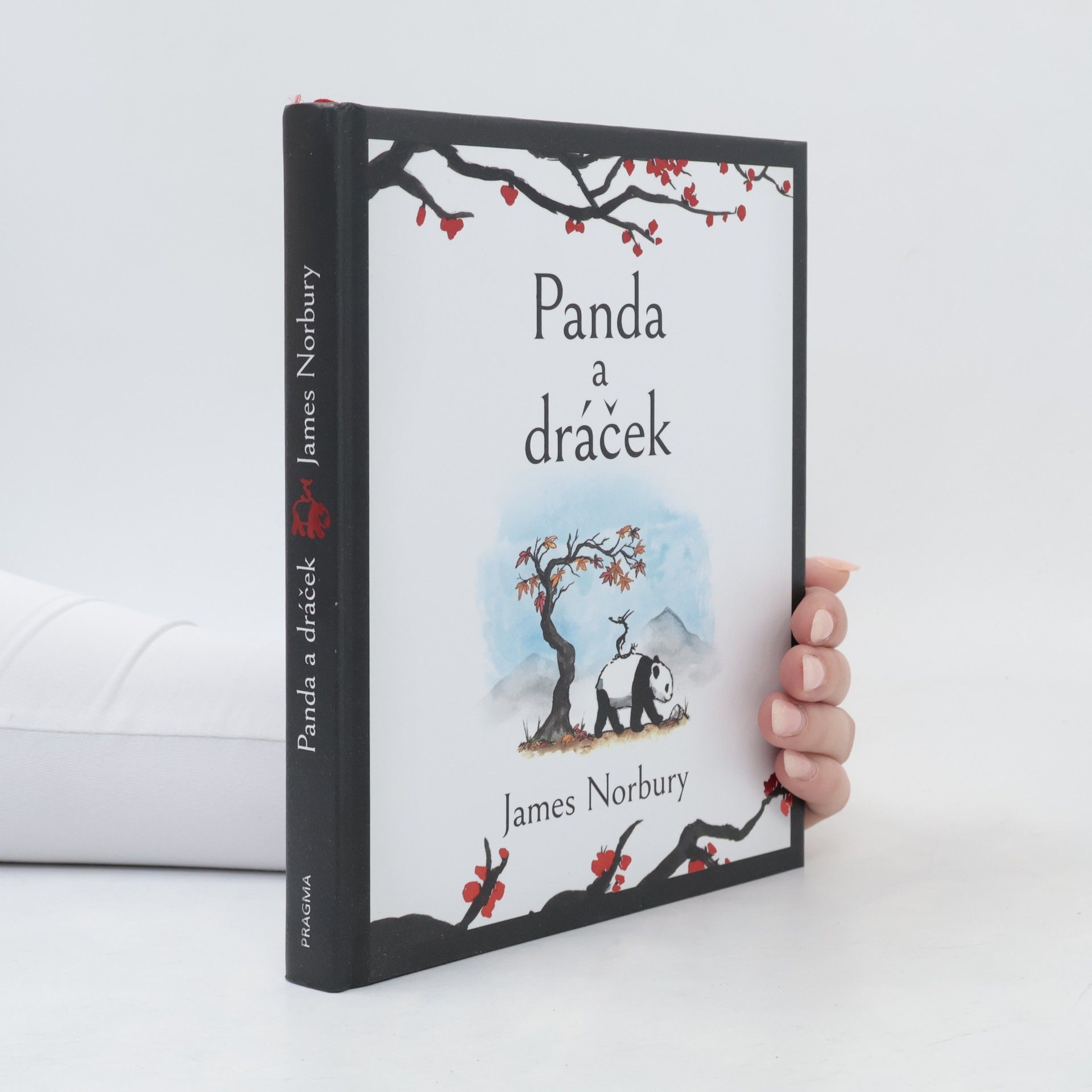Panda a dráček
