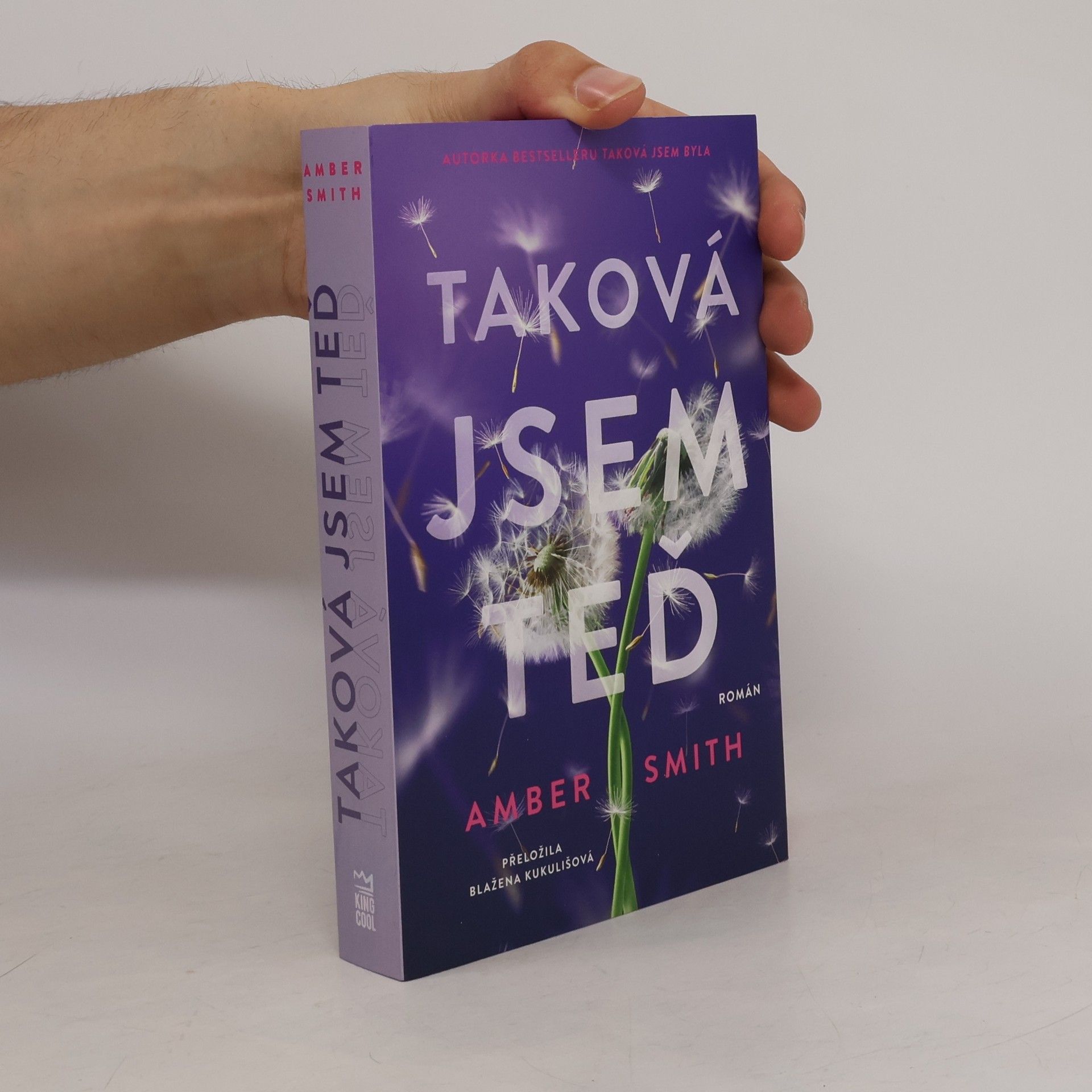 Amber Smith Taková jsem teď