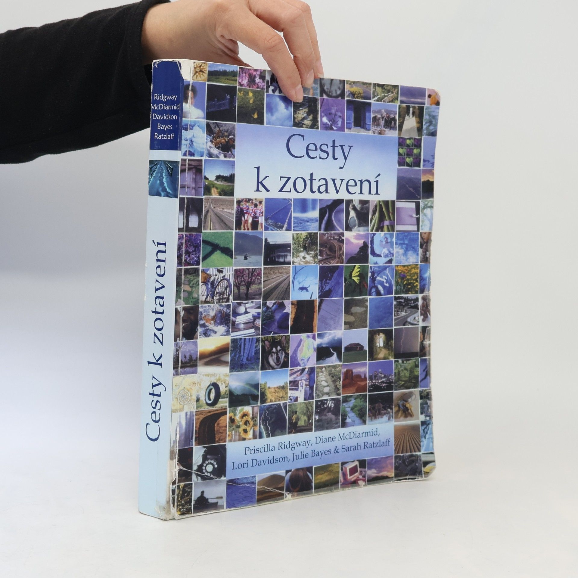 Kolektiv autorů Cesty k zotavení