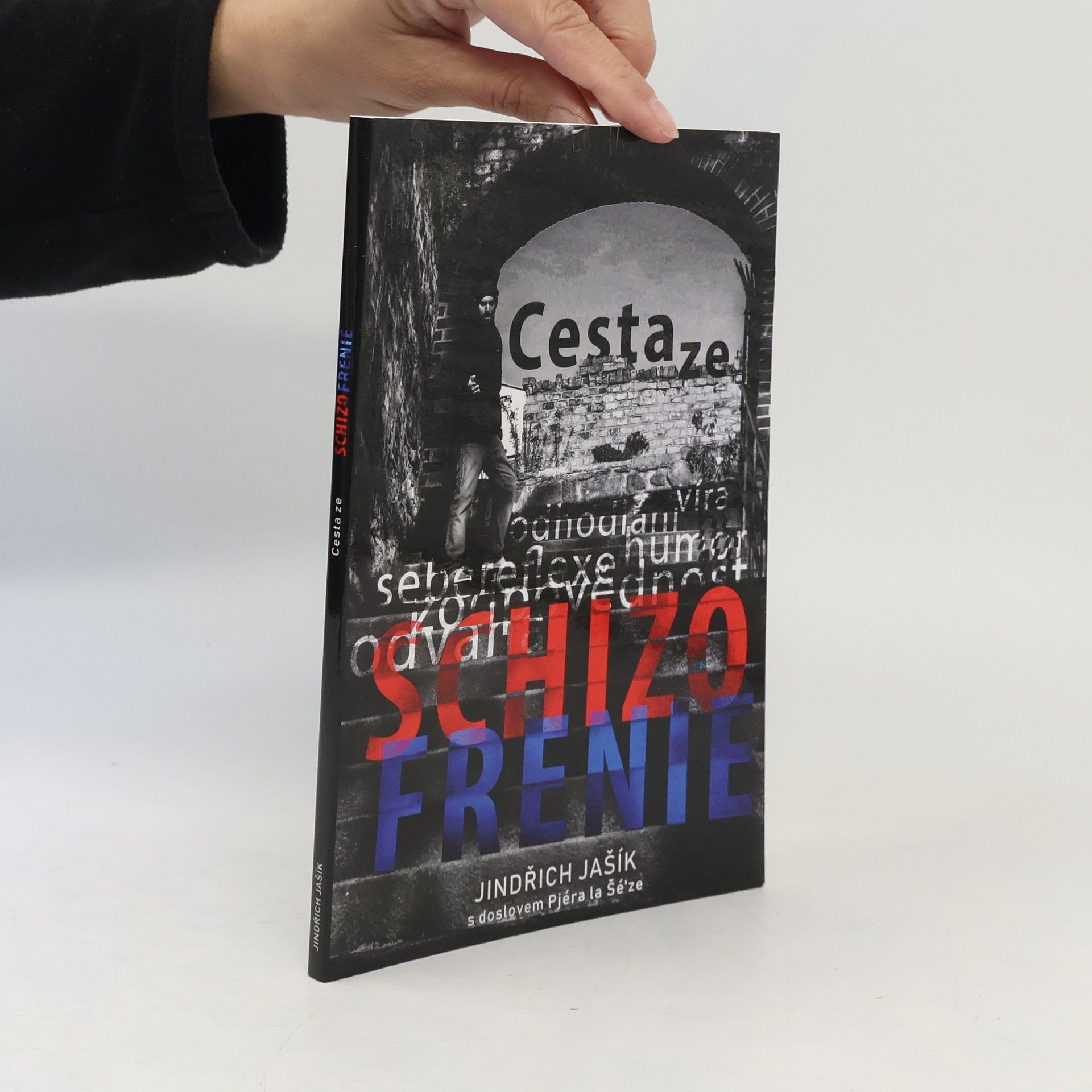 Jindřich Jašík Cesta ze schizofrenie
