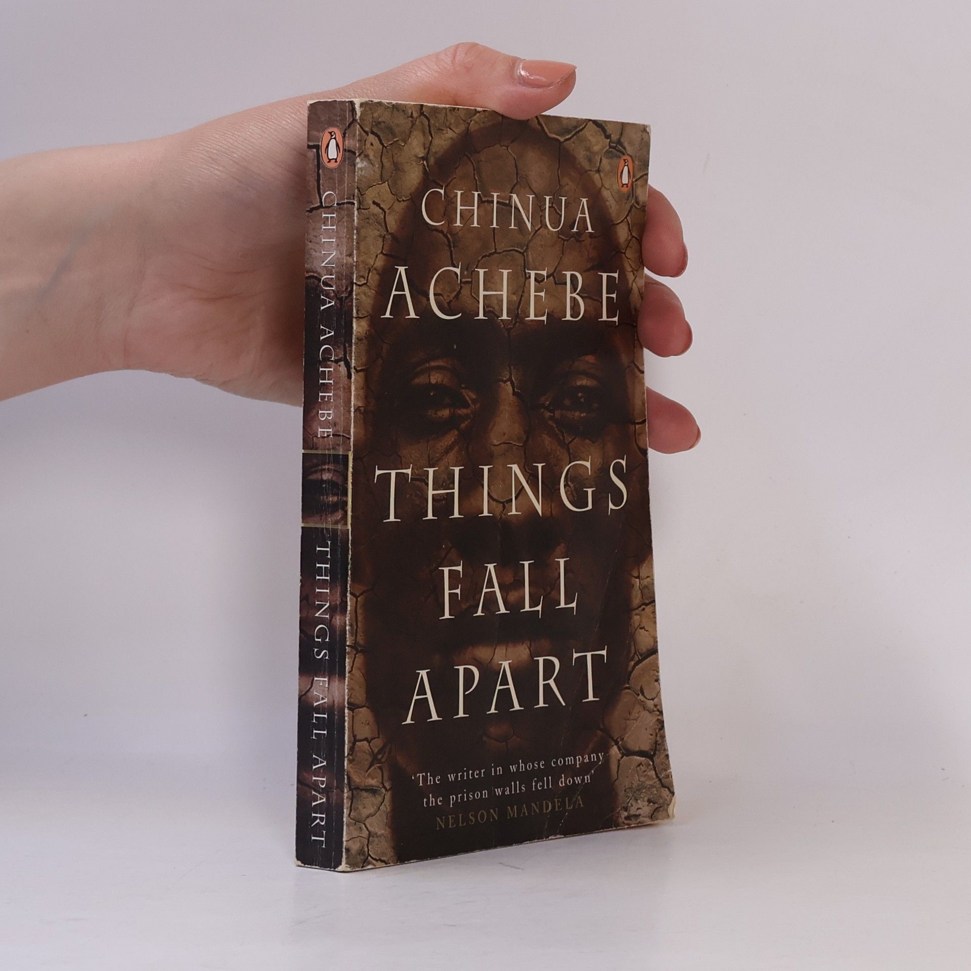 Chinua Achebe Things Fall Apart