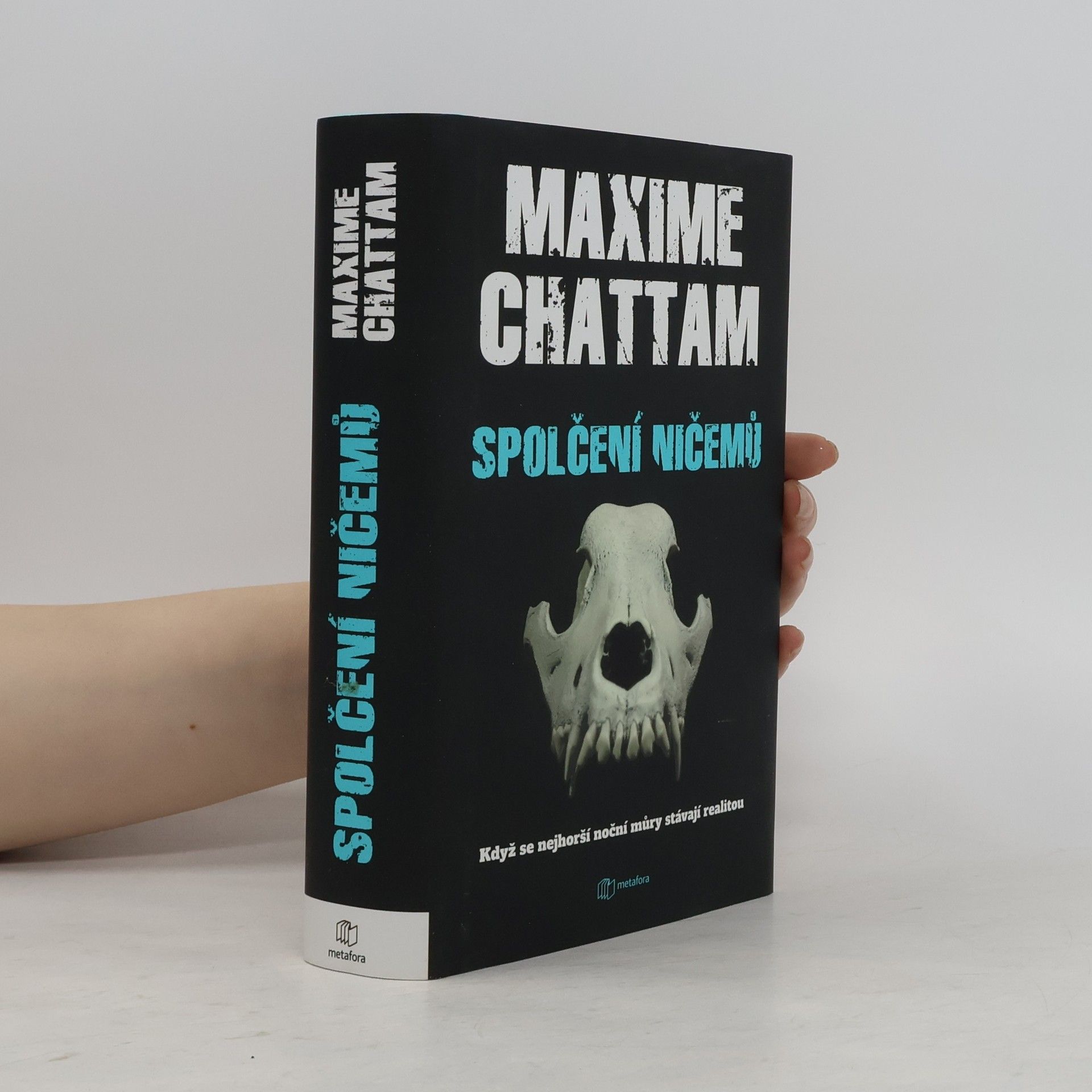 Maxime Chattam Spolčení ničemů