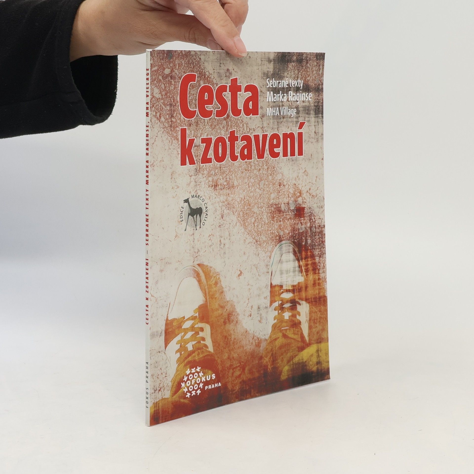 Martin Fojtíček Cesta k zotavení