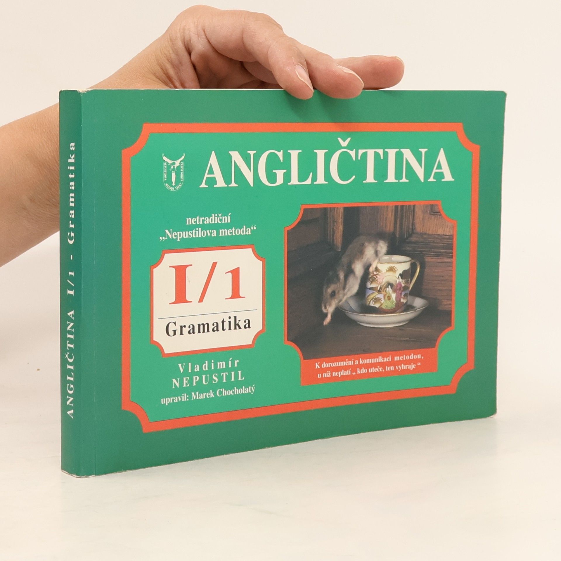 Vladimír Nepustil Angličtina I/1. Gramatika