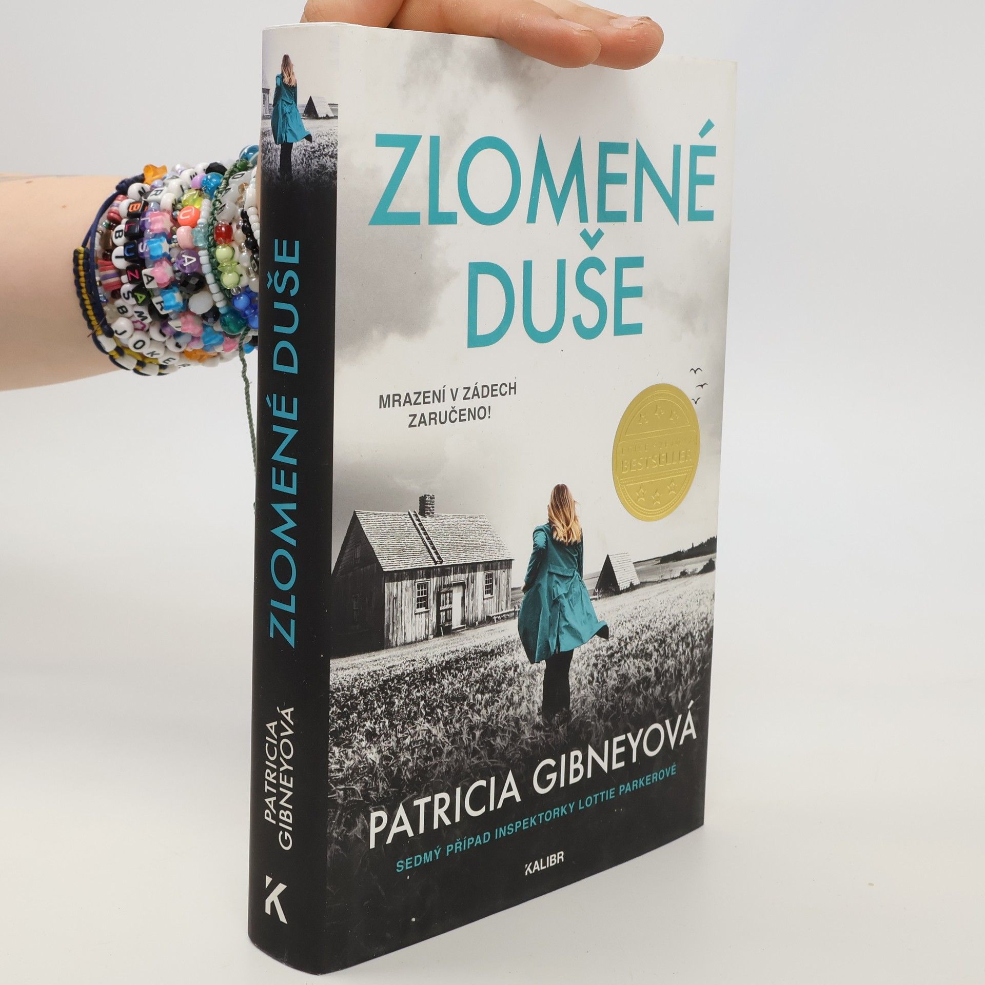 Patricia Gibney Zlomené Duše