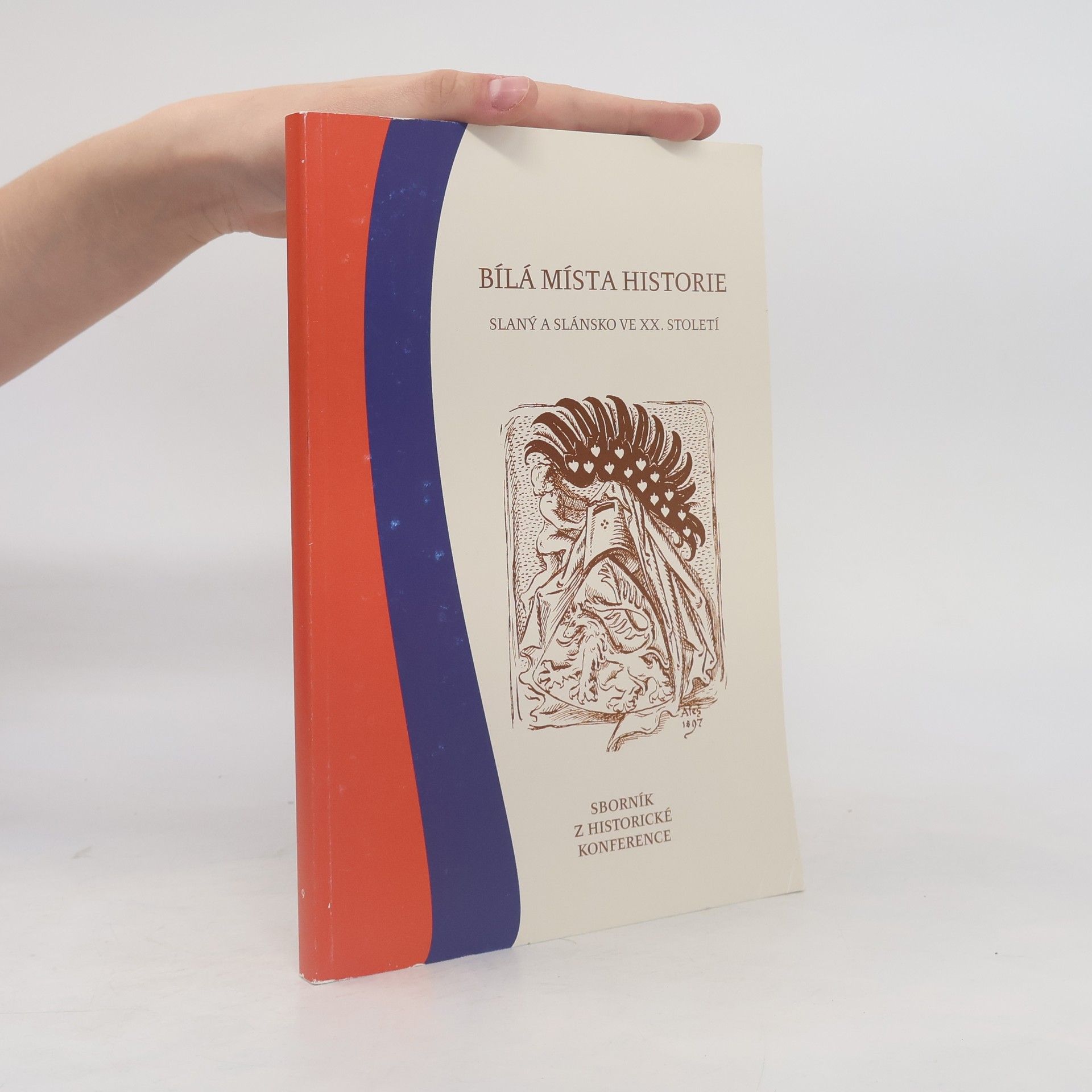 Kolektív autorov Bílá místa historie : Slaný a Slánsko ve XX. století