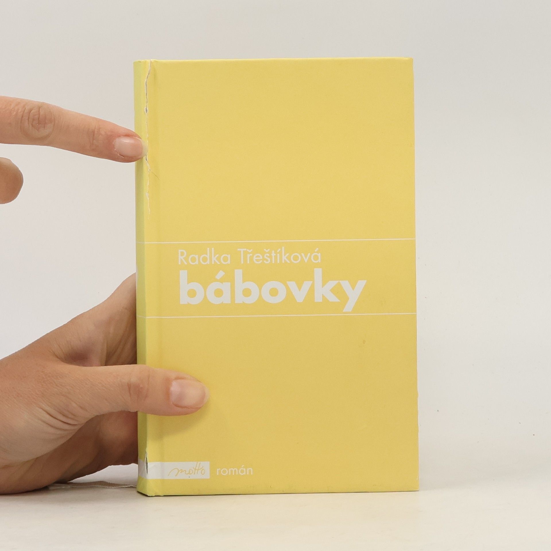 Radka Třeštíková Bábovky