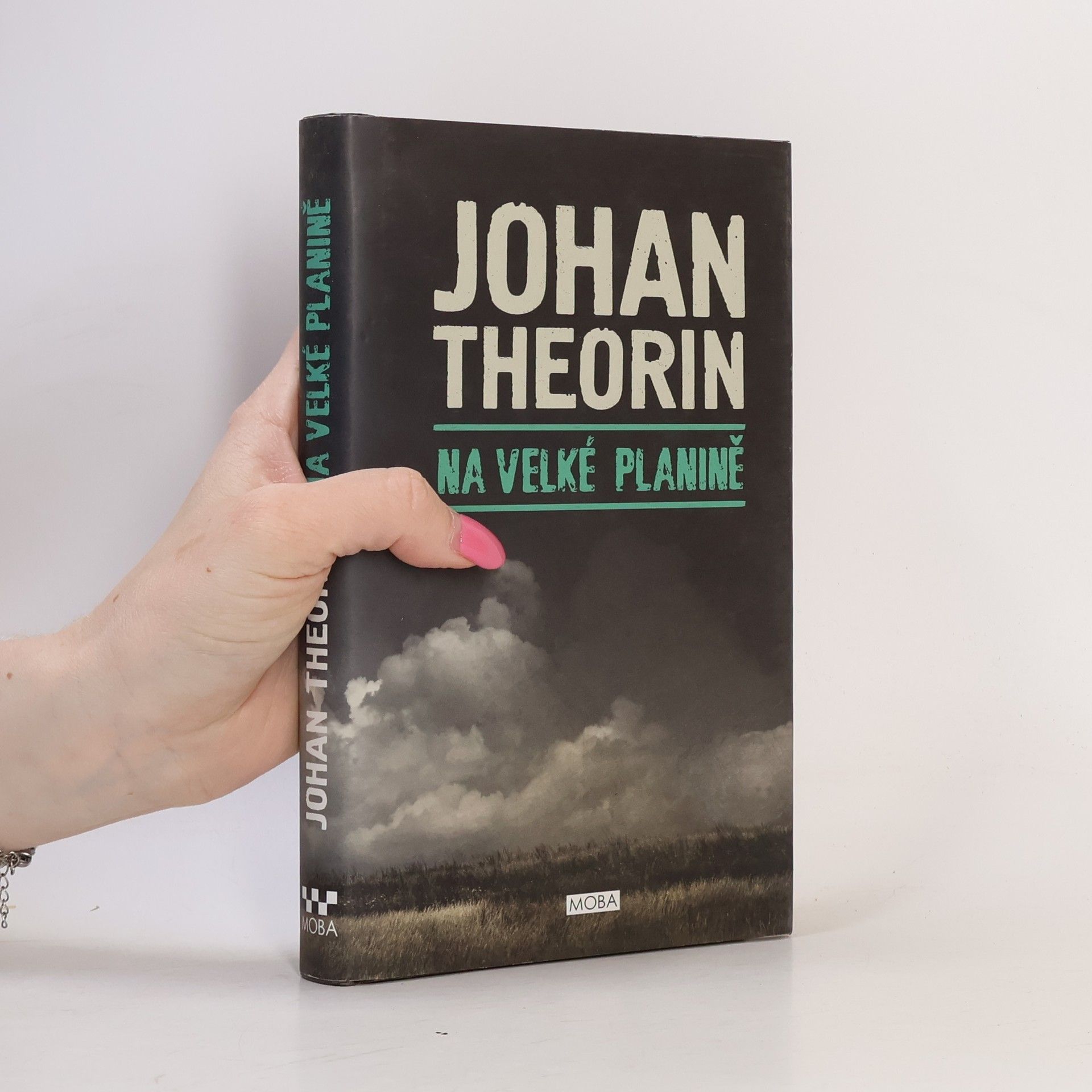 Johan Theorin Na velké planině