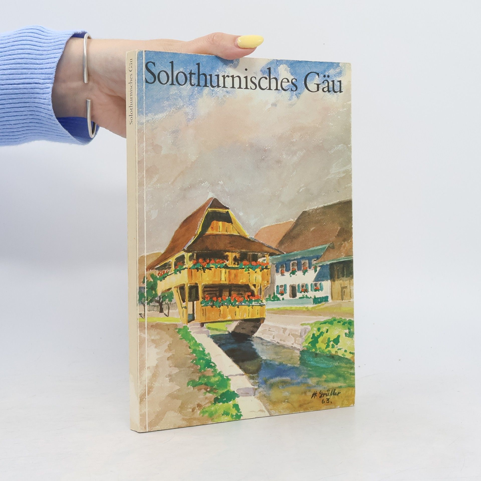 Autores varios Solothurnisches Gäu