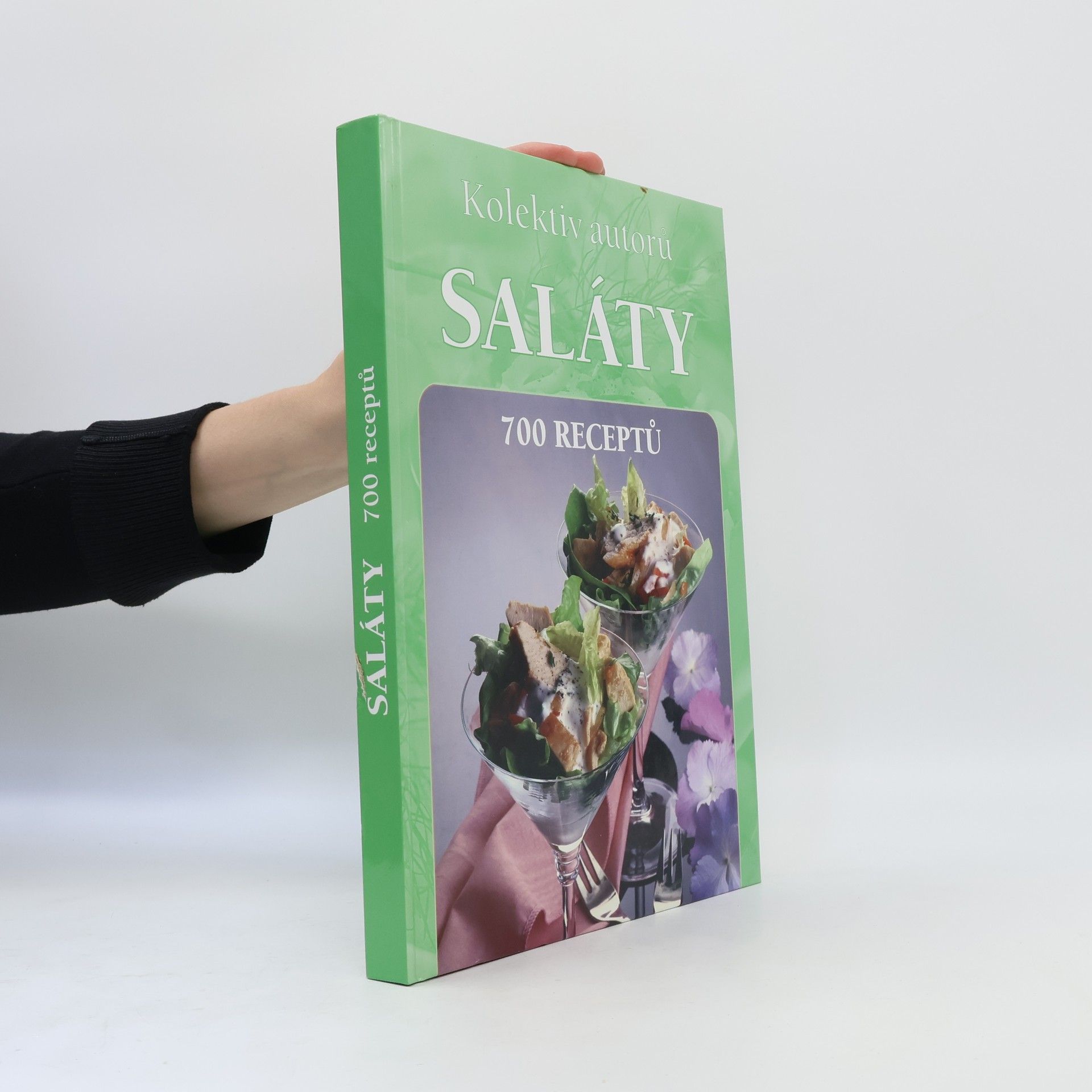 Collectif d'auteurs Saláty. 700 receptů