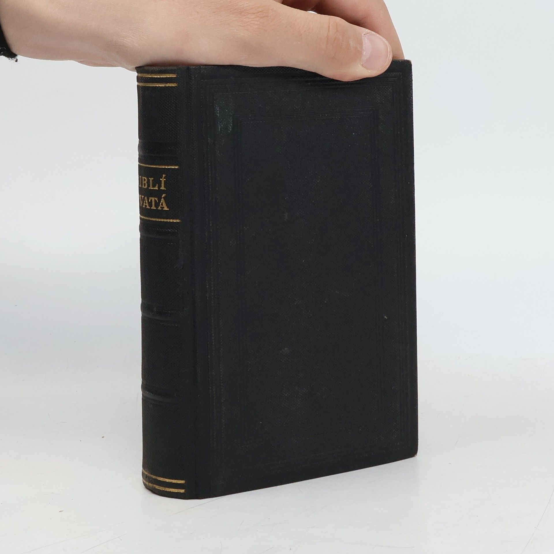 Collectif d'auteurs Biblí svatá aneb všecka svatá písma Starého i Nového zákona
