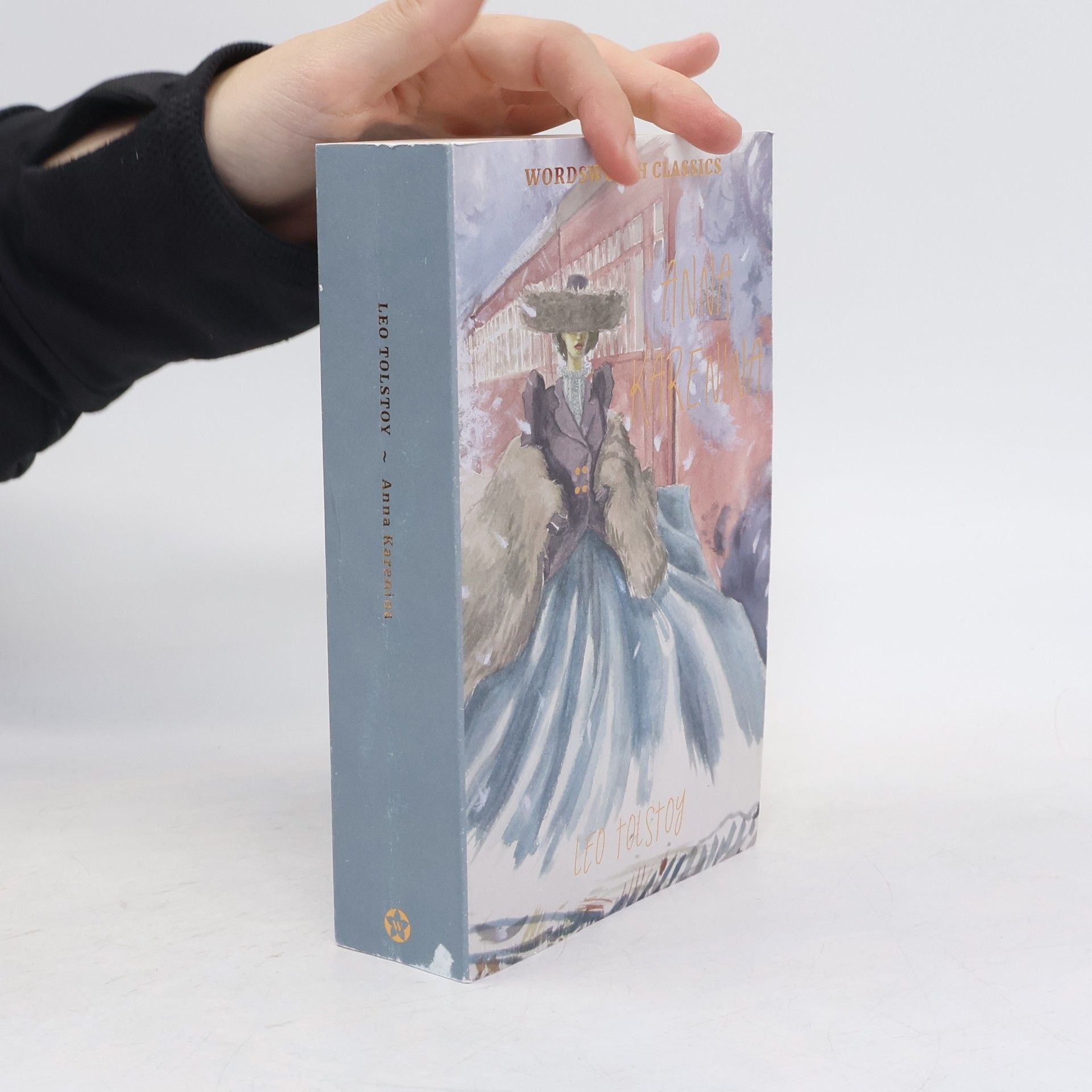Lew Nikolajewitsch Tolstoi Anna Karenina