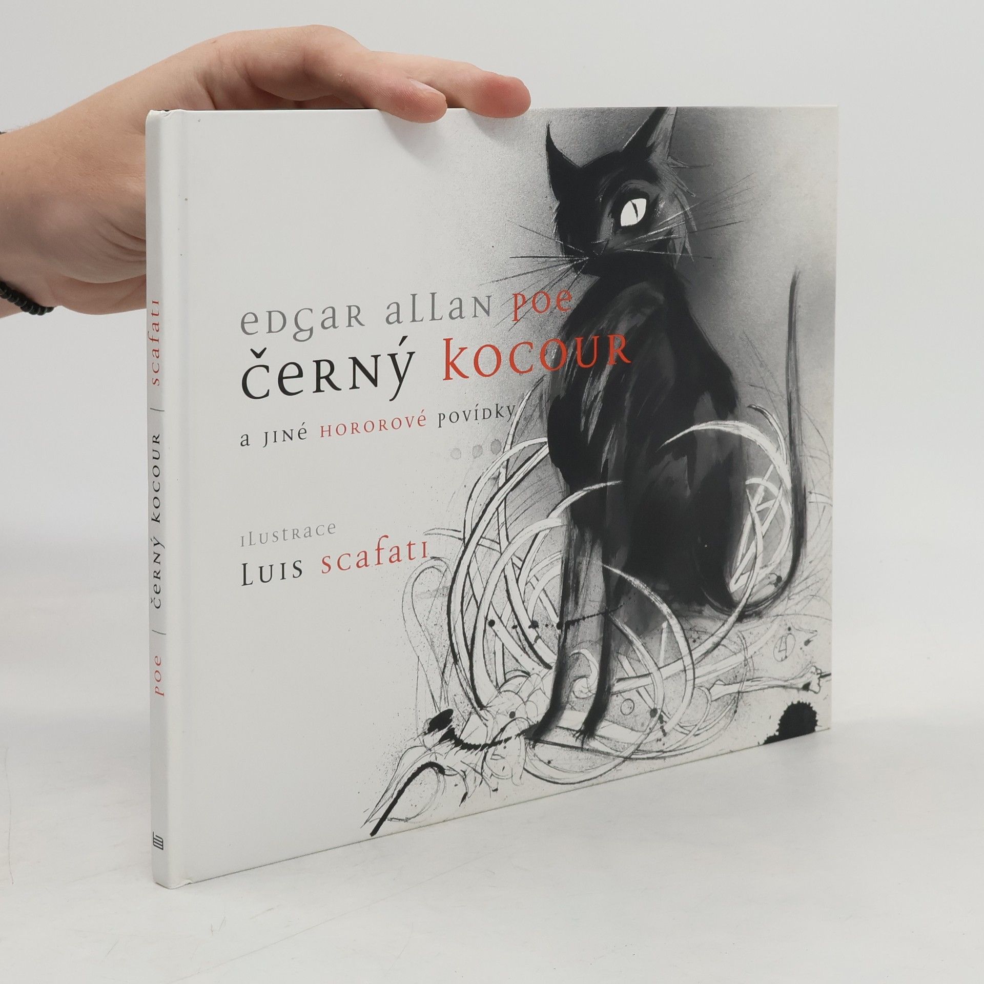 Edgar Allan Poe Černý kocour a jiné hororové povídky