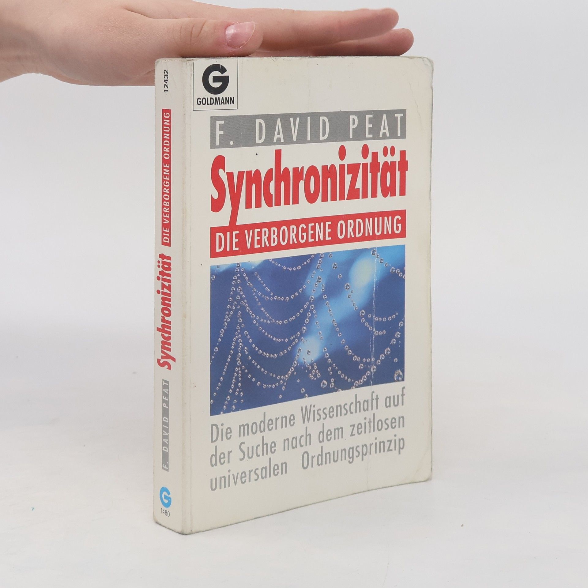 F. David Peat Synchronizität