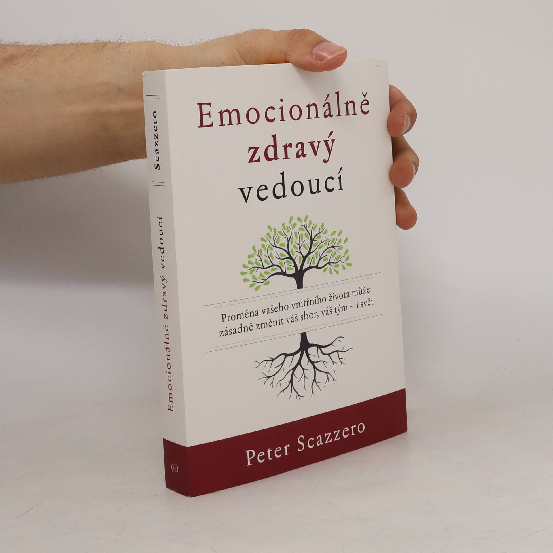 Peter Scazzero Emocionálně zdravý vedoucí