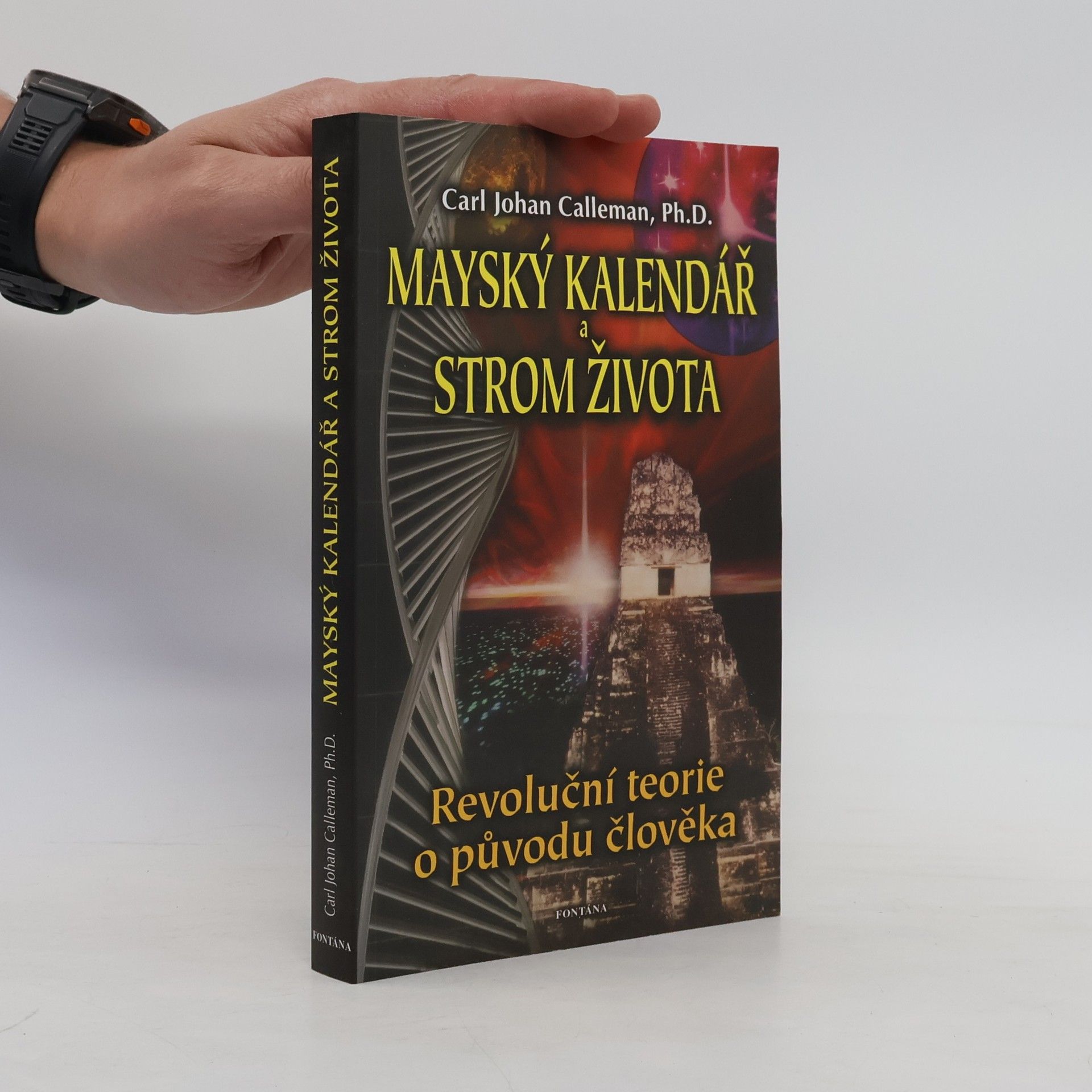 Carl Johan Calleman Mayský kalendář a Strom života. Revoluční teorie původu člověka