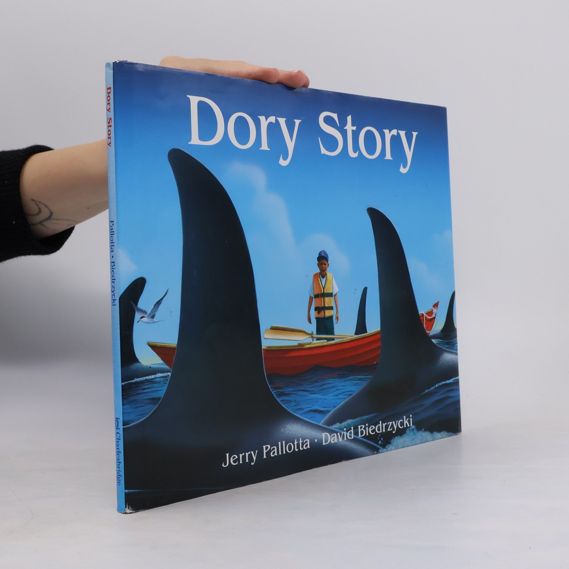 David Biedrzycki Dory Story