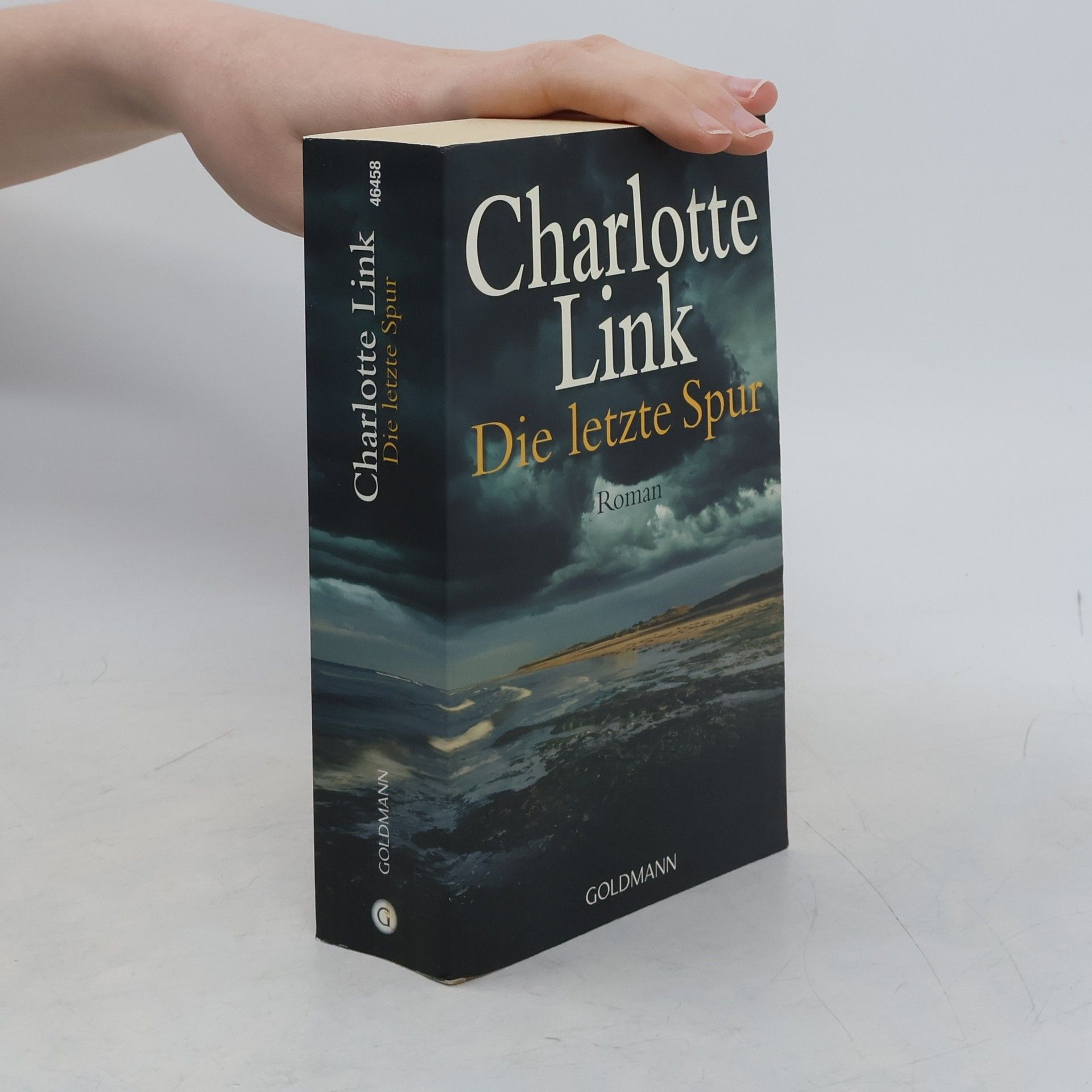 Charlotte Link Die letzte Spur