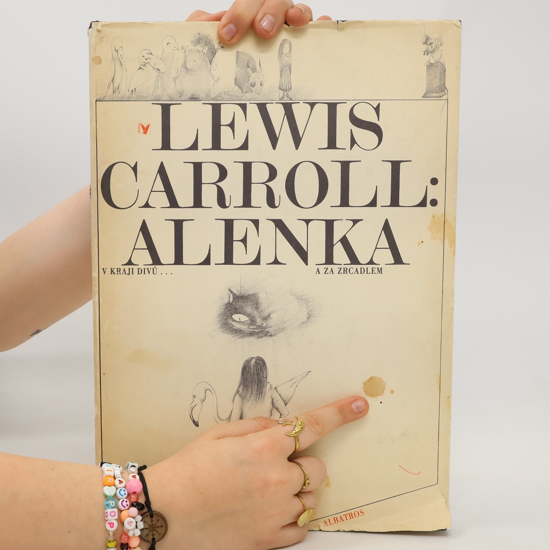 Lewis Carroll Alenka v kraji divů a za zrcadlem