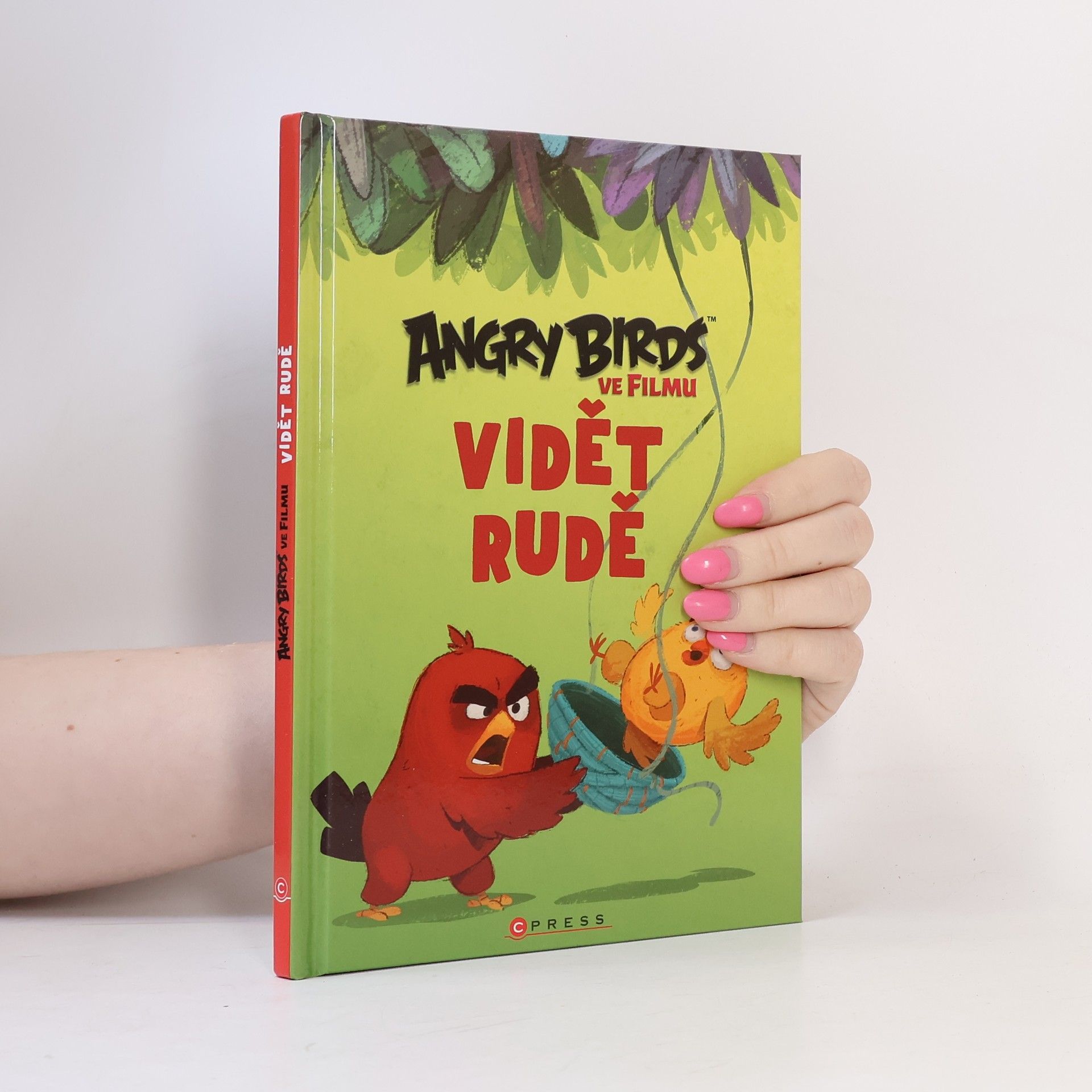Zdeněk Kubík Angry Birds ve filmu. Vidět rudě