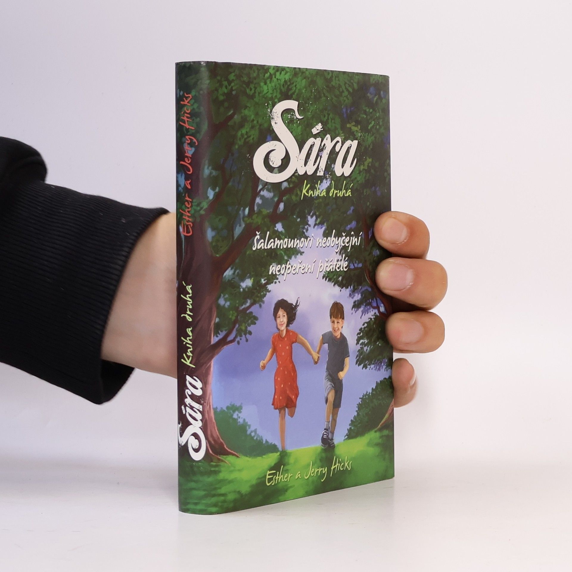 Esther Hicks Sára. Kniha druhá, Šalamounovi neobyčejní neopeření přátelé