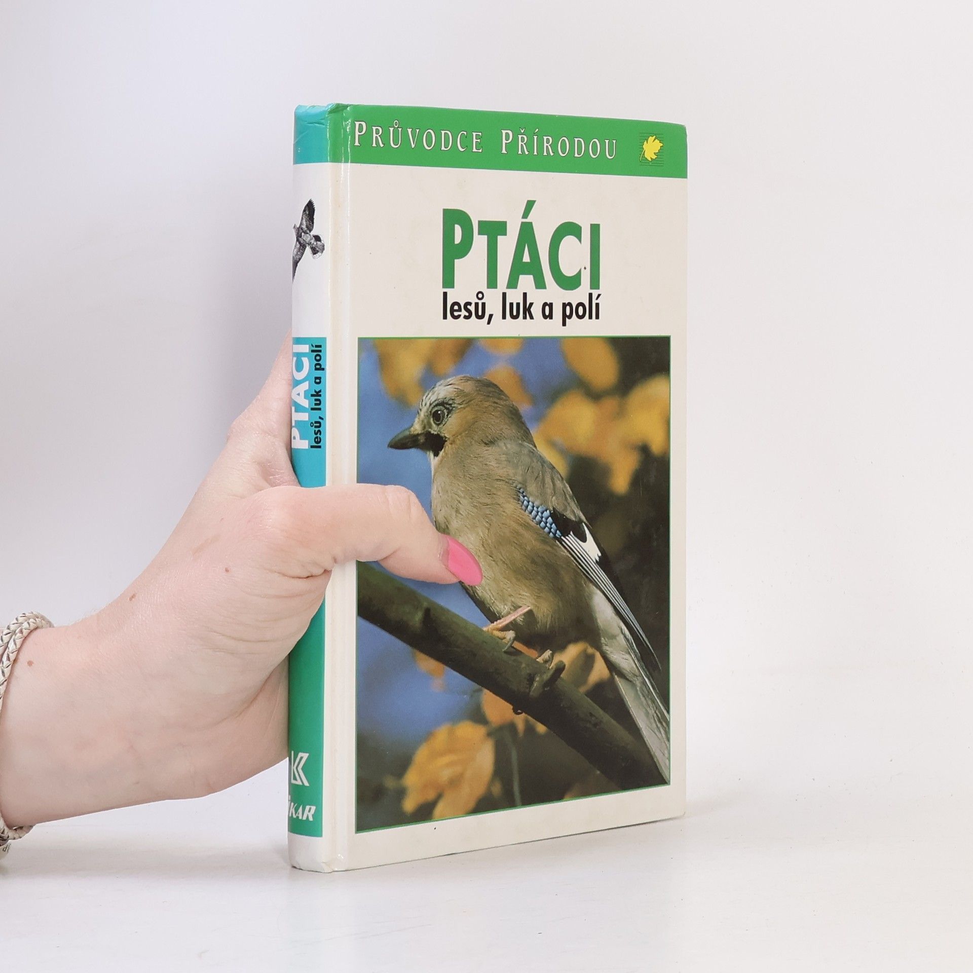 Friedhelm Sauer Ptáci lesů, luk a polí