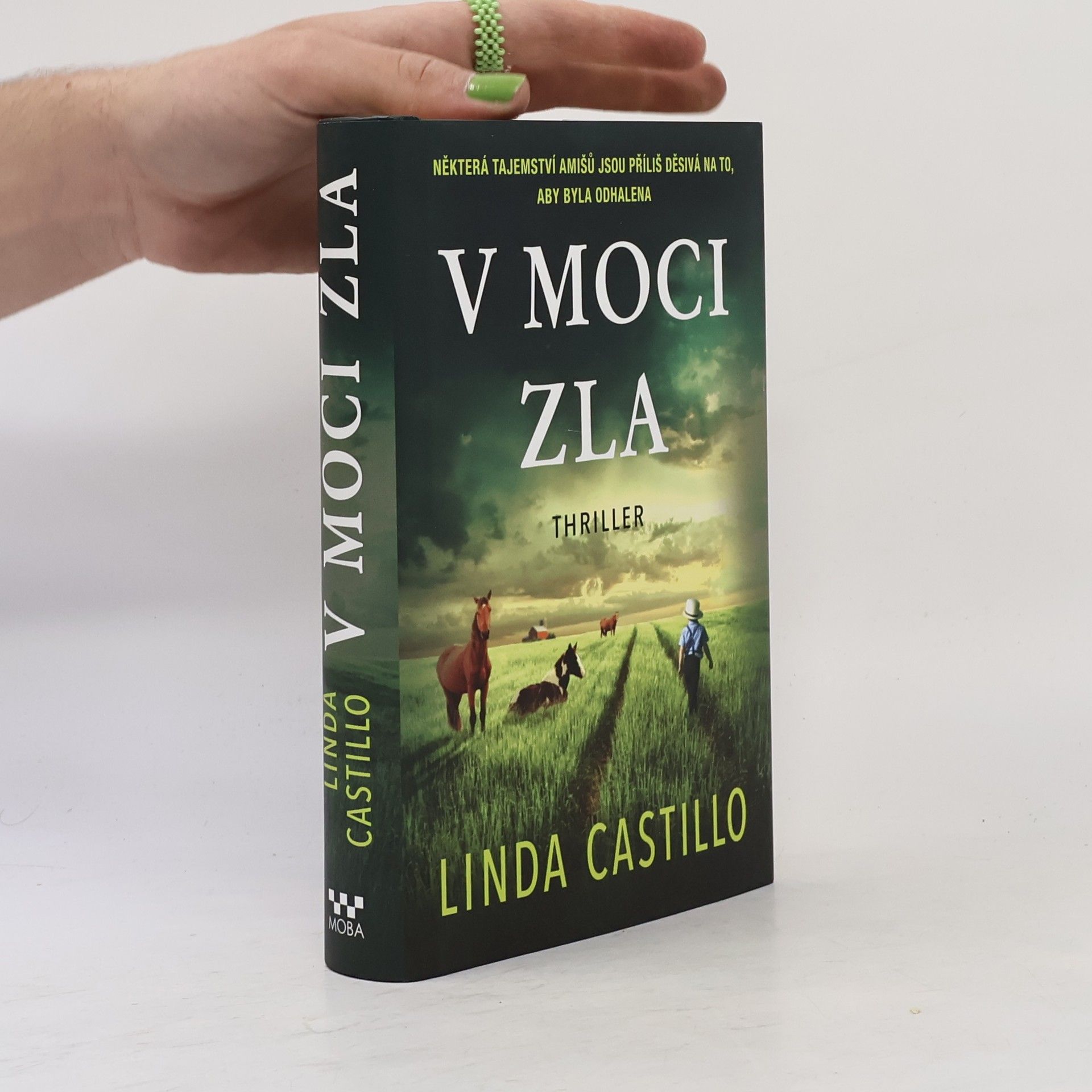 Linda Castillo V moci zla