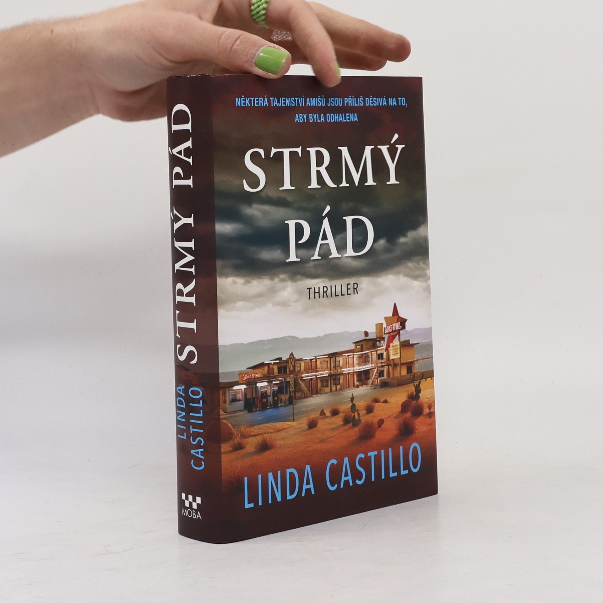 Linda Castillo Strmý pád